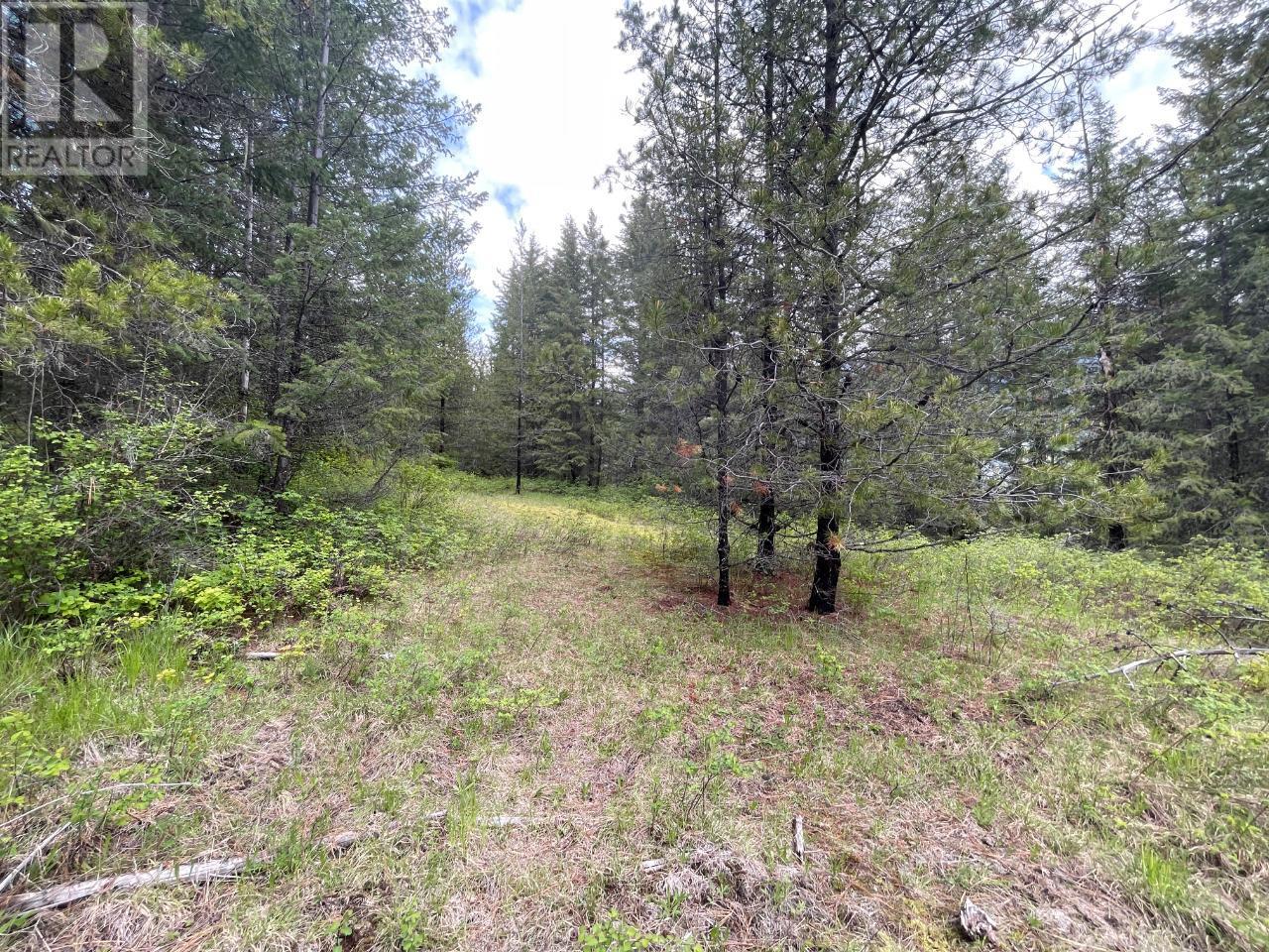 Lot 1 Langill Road, Krestova, British Columbia  V0G 1H0 - Photo 9 - 10347982