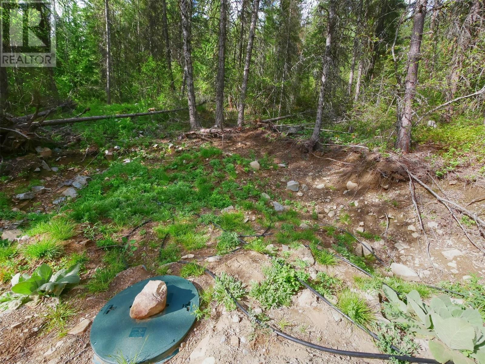 4679 Erie-Ross Spur Road, Salmo, British Columbia  V0G 1Z0 - Photo 10 - 10348365
