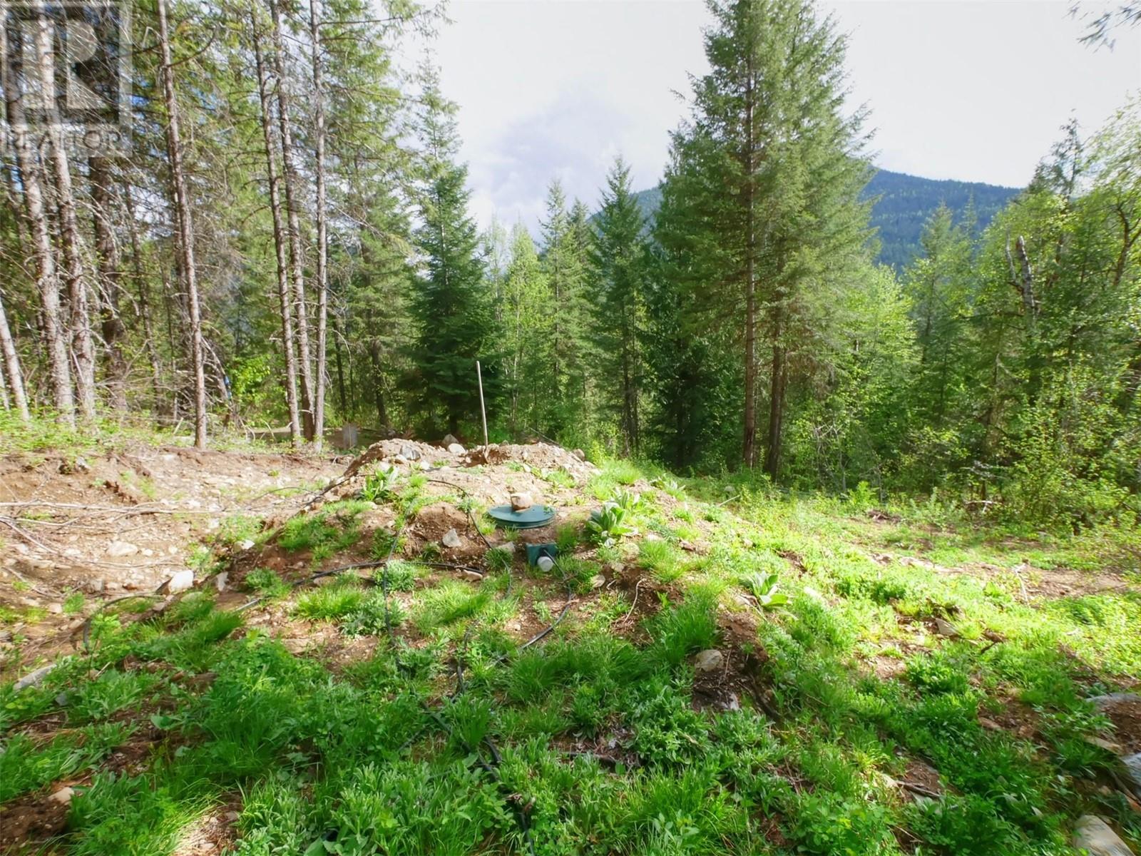 4679 Erie-Ross Spur Road, Salmo, British Columbia  V0G 1Z0 - Photo 5 - 10348365