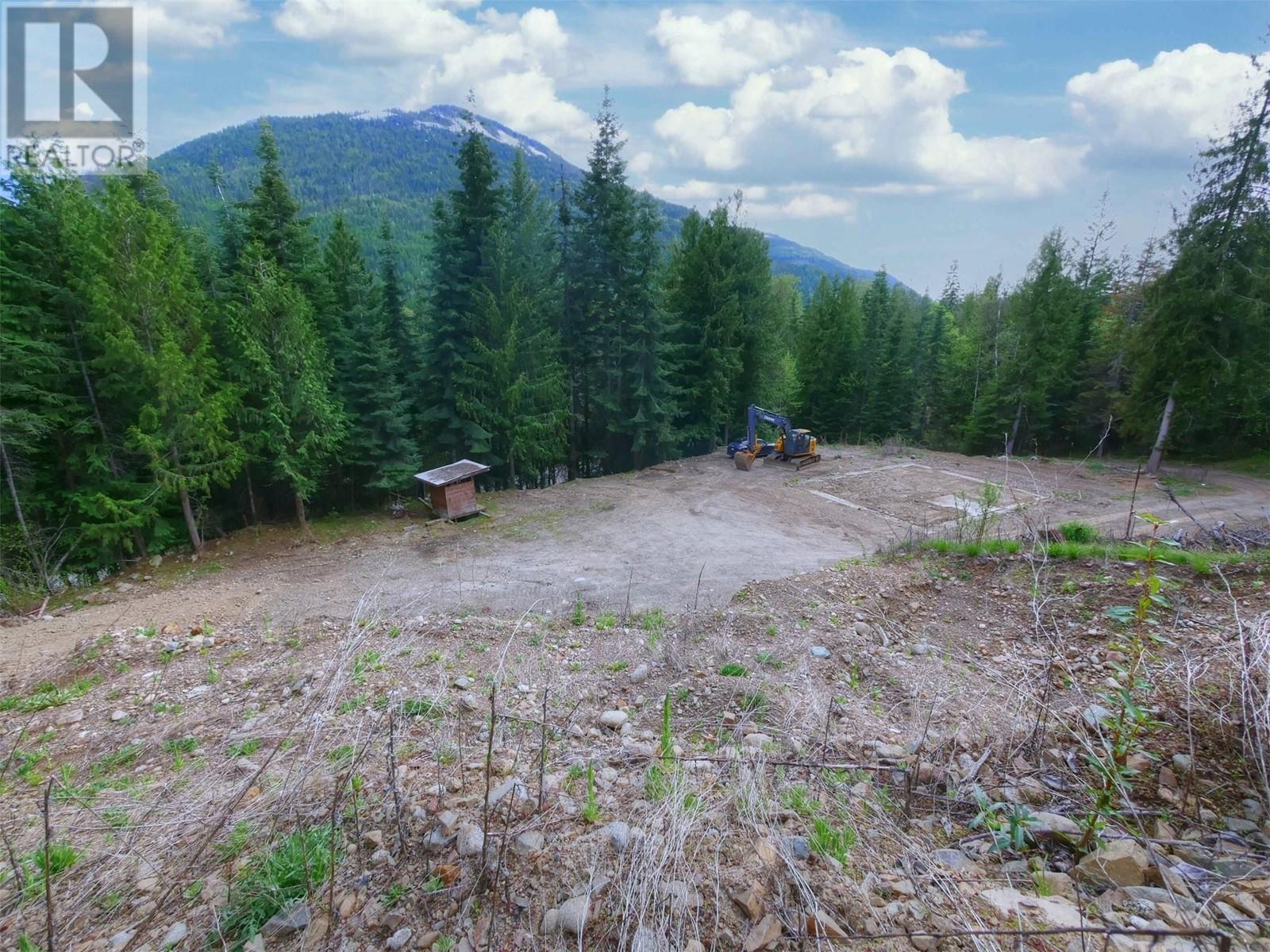 4679 Erie-Ross Spur Road, Salmo, British Columbia  V0G 1Z0 - Photo 6 - 10348365
