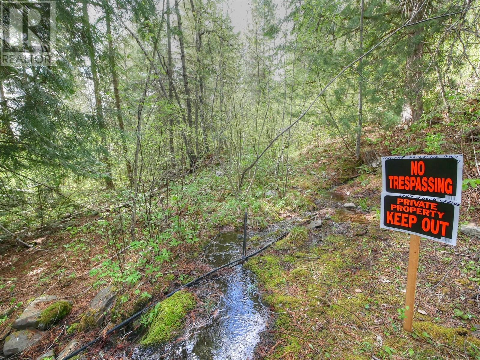 4679 Erie-Ross Spur Road, Salmo, British Columbia  V0G 1Z0 - Photo 8 - 10348365