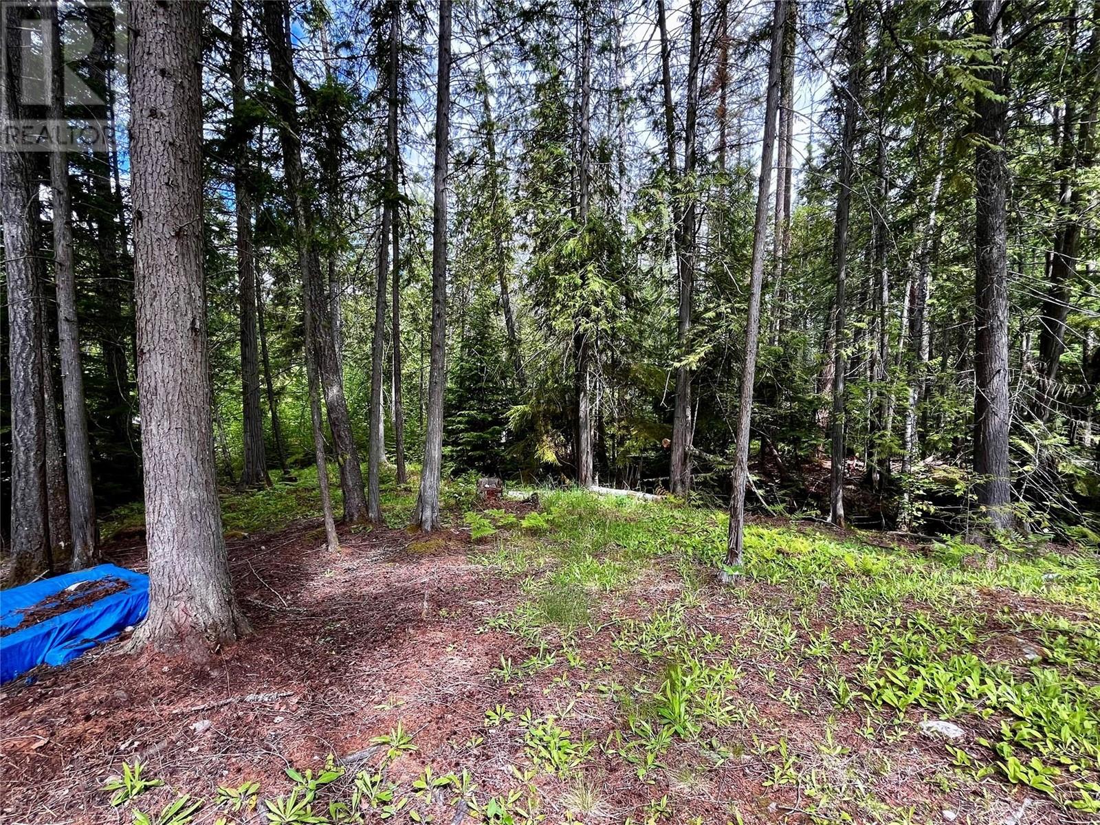 7705 Omen Road, Fauquier, British Columbia  V0G 1K0 - Photo 79 - 10348046
