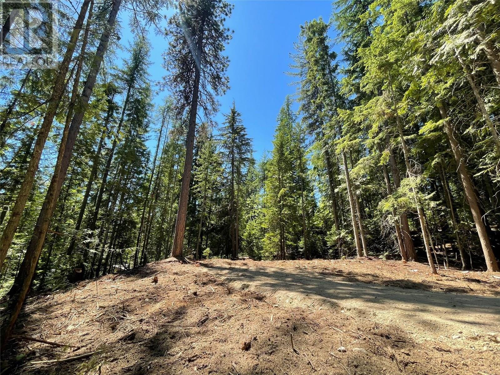 Lot B Thompson Road, Bonnington, British Columbia  V0G 2G3 - Photo 1 - 10348639