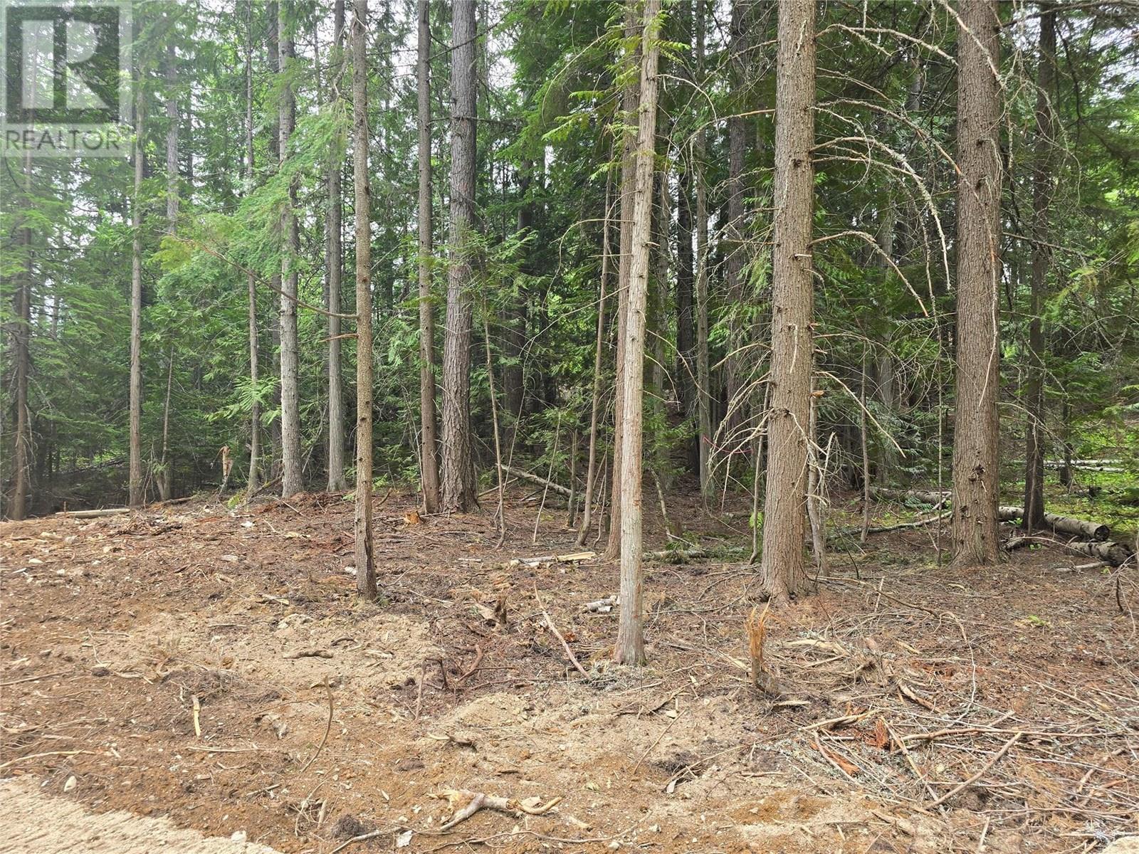 Lot B Thompson Road, Bonnington, British Columbia  V0G 2G3 - Photo 10 - 10348639