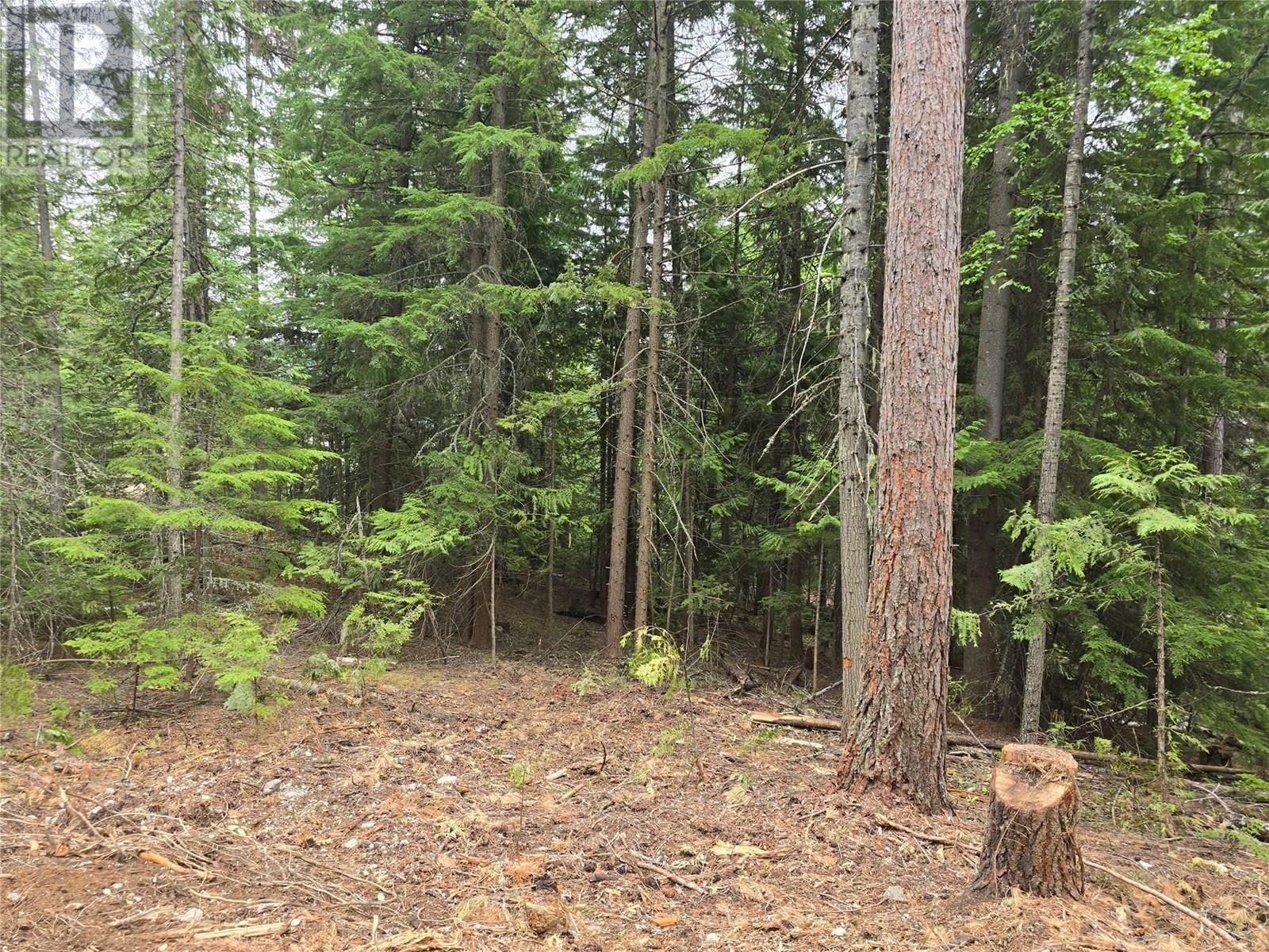 Lot B Thompson Road, Bonnington, British Columbia  V0G 2G3 - Photo 11 - 10348639