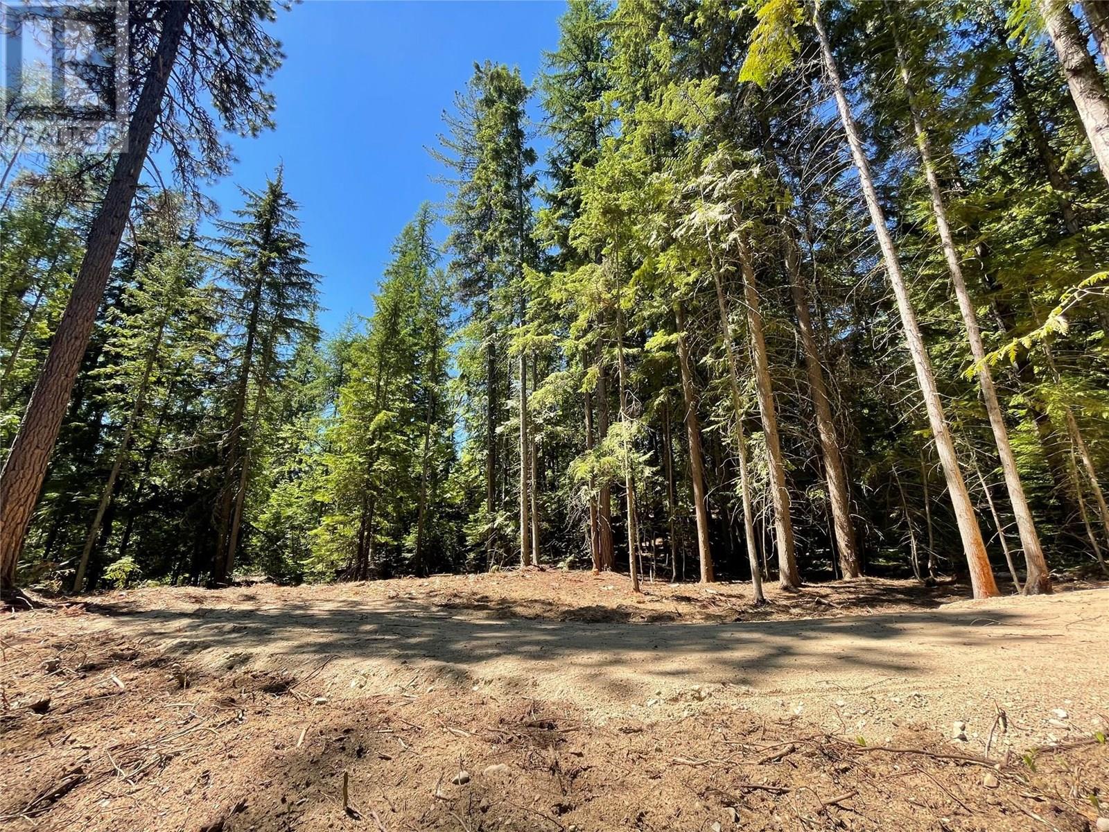 Lot B Thompson Road, Bonnington, British Columbia  V0G 2G3 - Photo 18 - 10348639