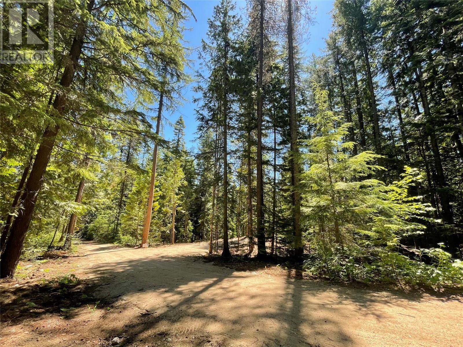 Lot B Thompson Road, Bonnington, British Columbia  V0G 2G3 - Photo 3 - 10348639
