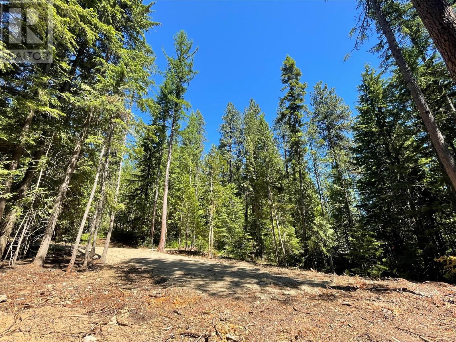 Lot B Thompson Road, Bonnington, British Columbia  V0G 2G3 - Photo 5 - 10348639