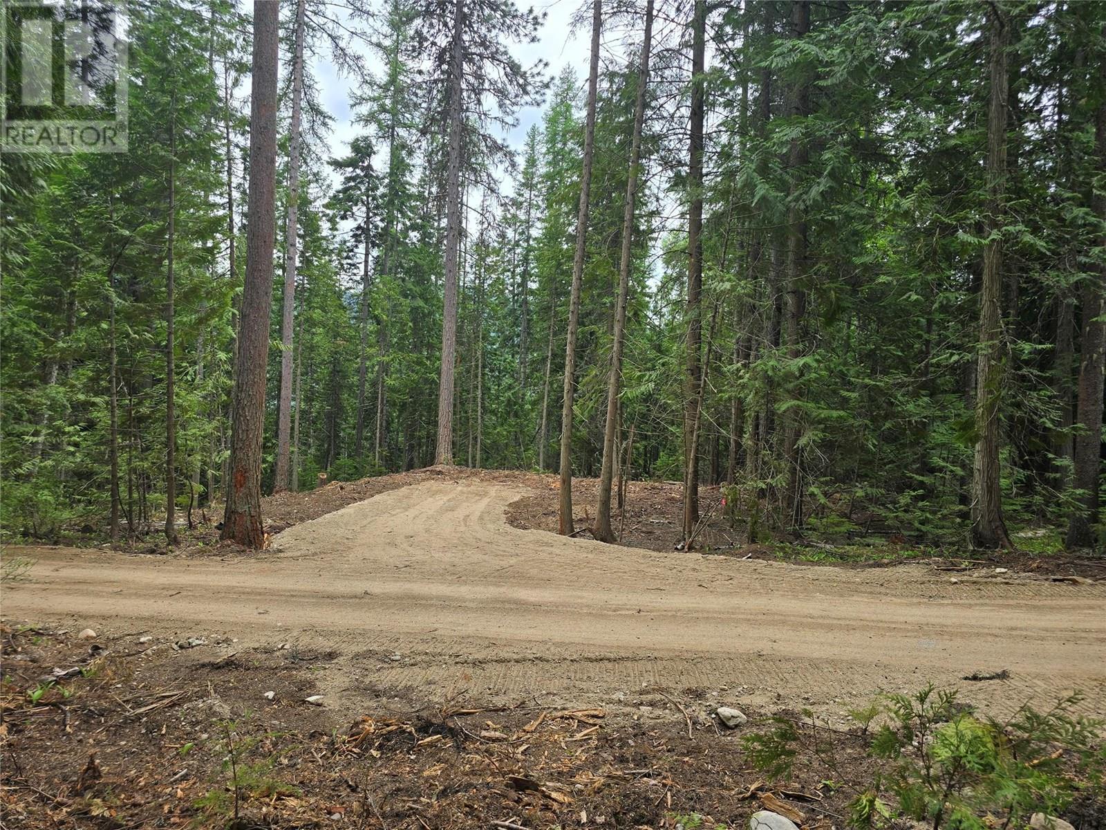 Lot B Thompson Road, Bonnington, British Columbia  V0G 2G3 - Photo 6 - 10348639