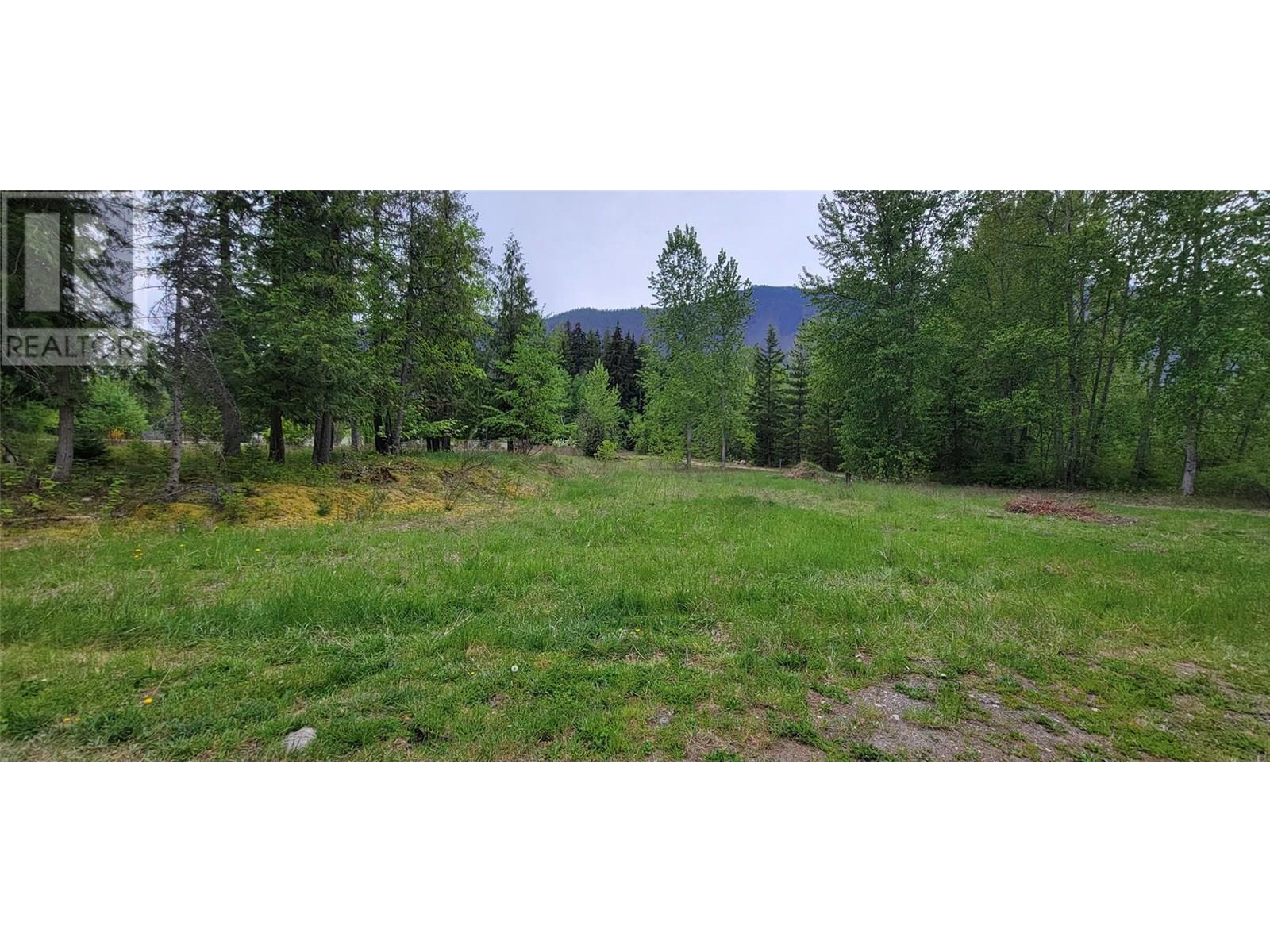204 Stewart Street, Rosebery, British Columbia  V0G 1S1 - Photo 10 - 10347975