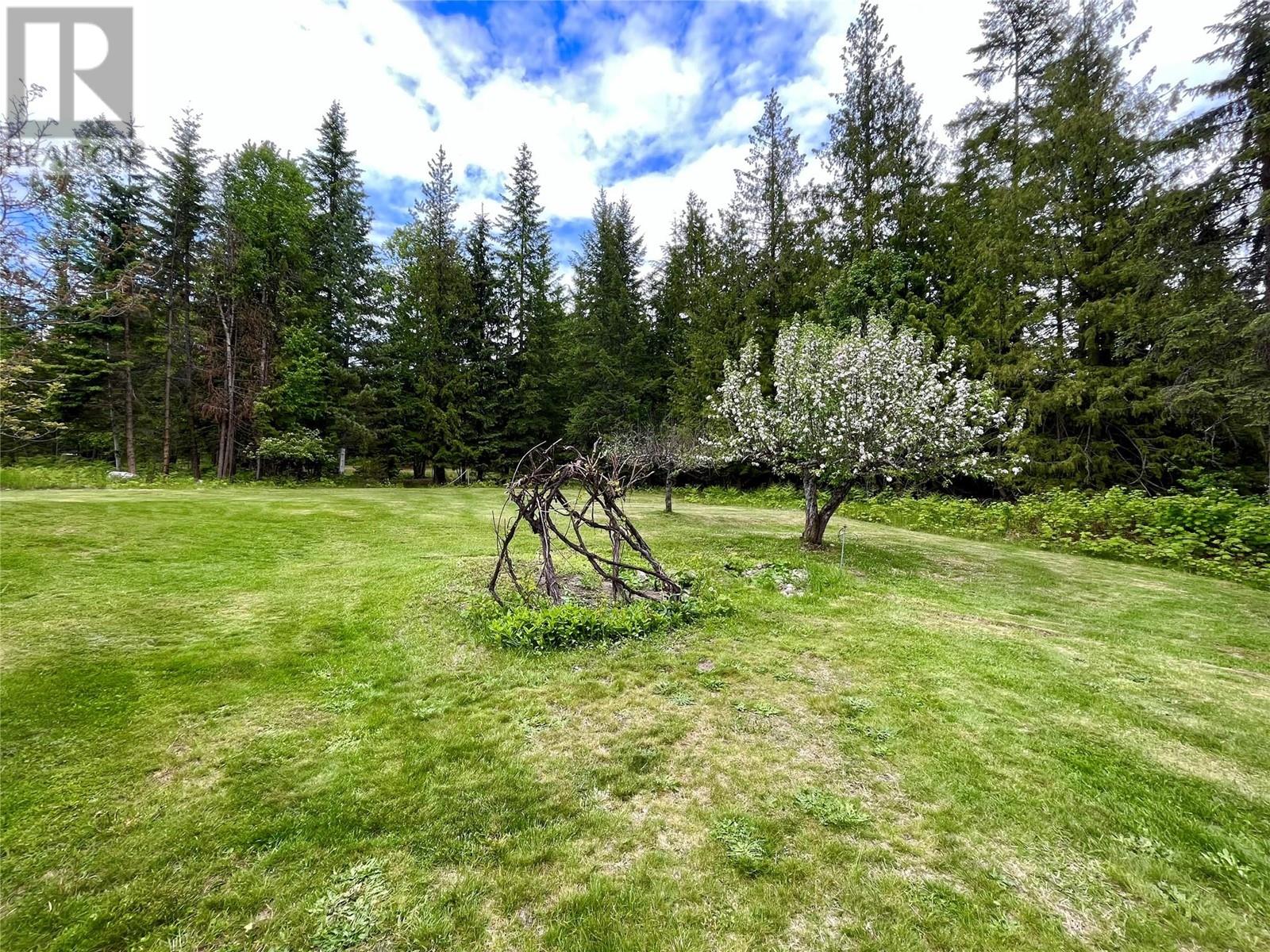 740 Highway 6 S, Nakusp, British Columbia  V0G 1R0 - Photo 24 - 10349240