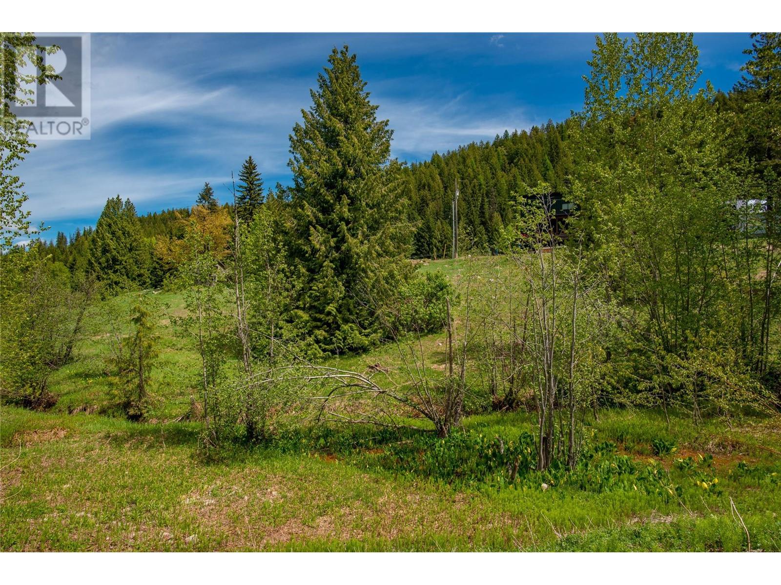 201 Joliffe Way, Rossland, British Columbia  V0G 1Y0 - Photo 25 - 10349320
