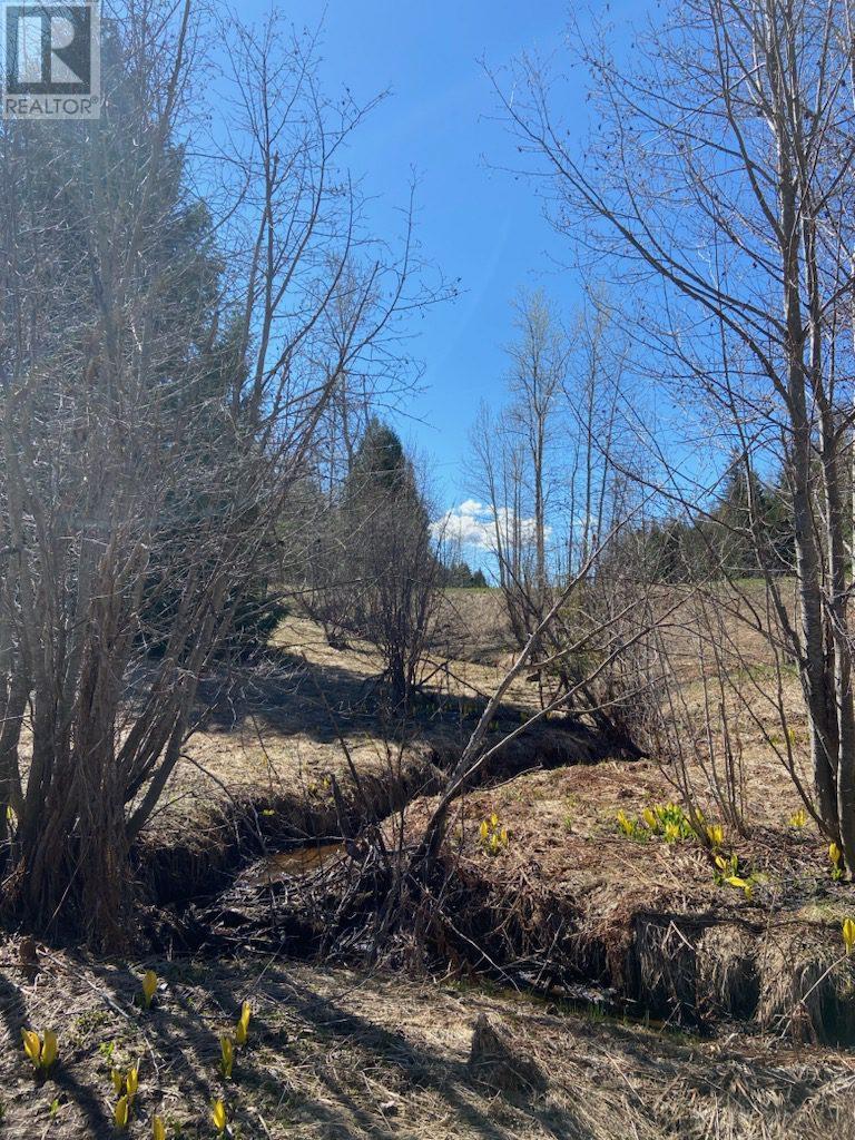201 Joliffe Way, Rossland, British Columbia  V0G 1Y0 - Photo 30 - 10349320