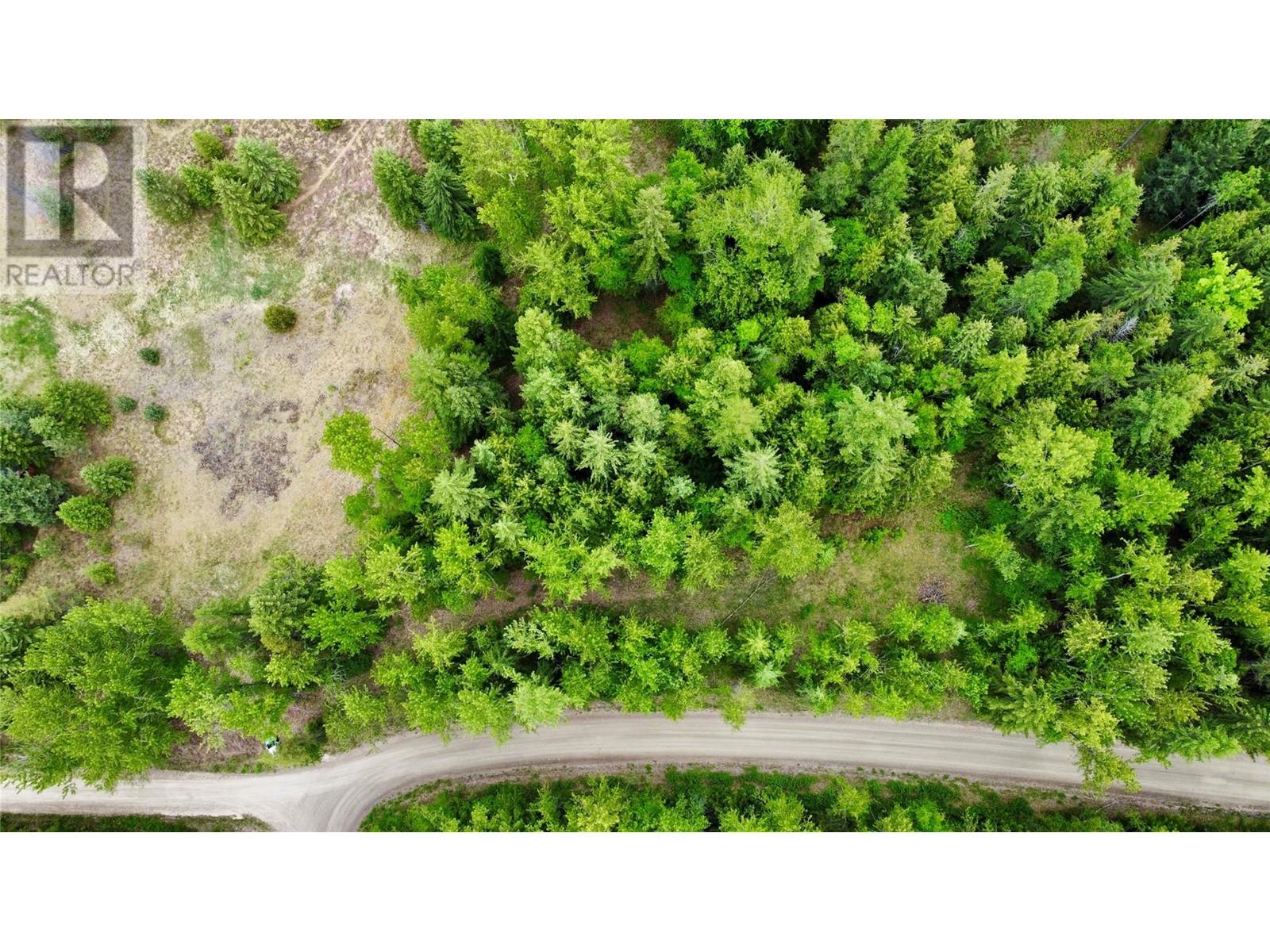 Lot 3 & 4 Robazzo Road, Burton, British Columbia  V0G 1R0 - Photo 10 - 10348050