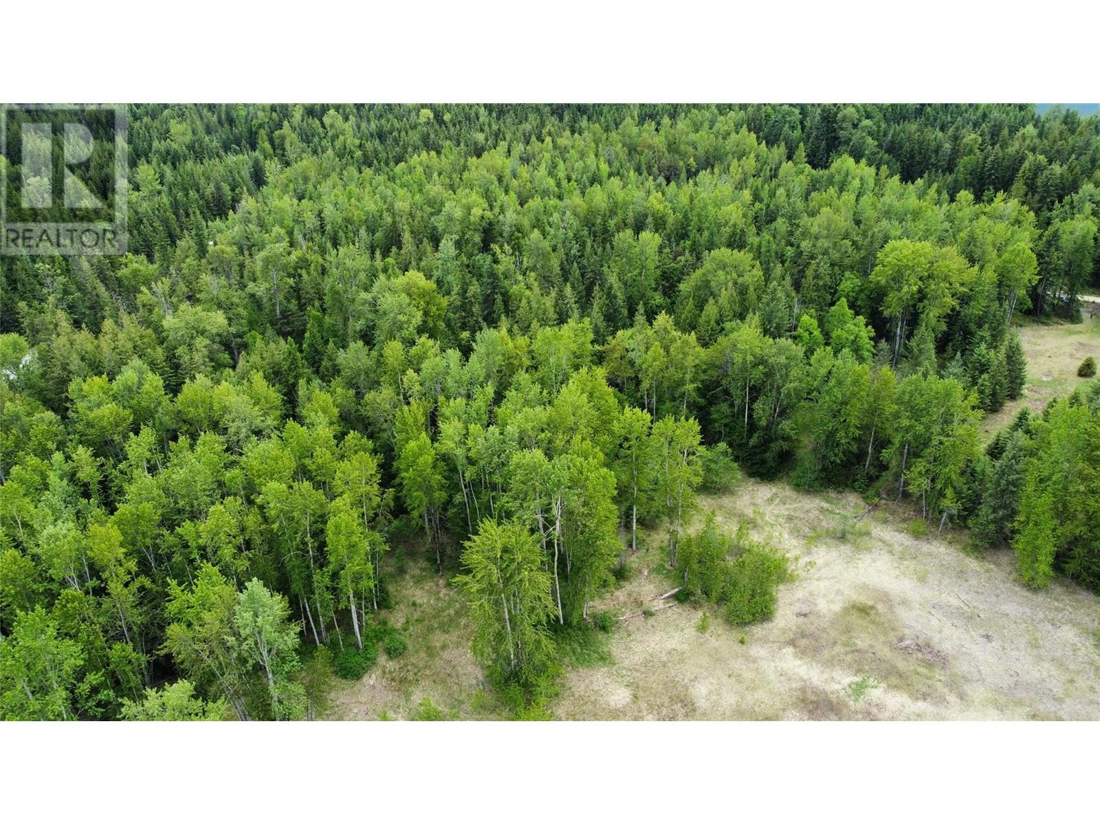 Lot 3 & 4 Robazzo Road, Burton, British Columbia  V0G 1R0 - Photo 19 - 10348050