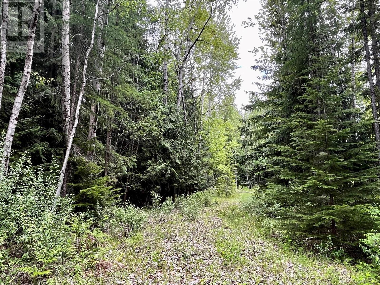 Lot 3 & 4 Robazzo Road, Burton, British Columbia  V0G 1R0 - Photo 22 - 10348050