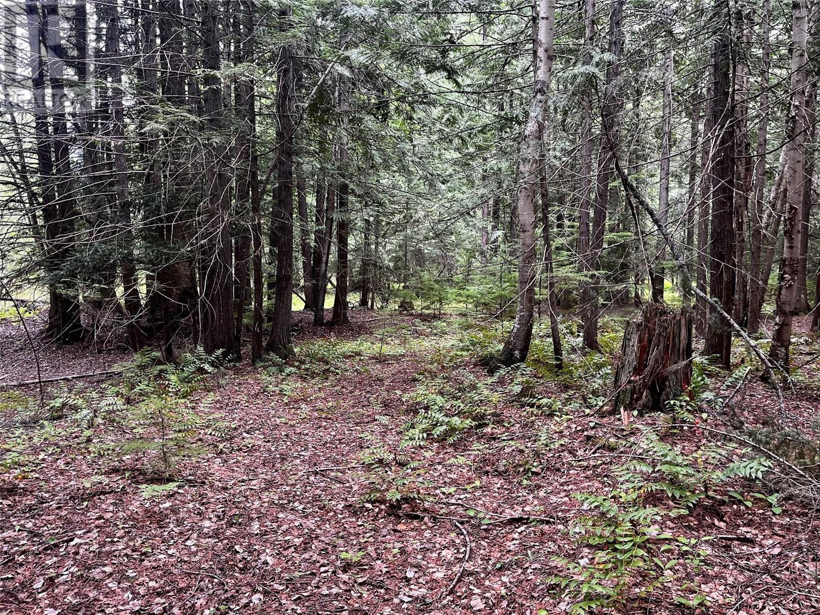 Lot 3 & 4 Robazzo Road, Burton, British Columbia  V0G 1R0 - Photo 24 - 10348050