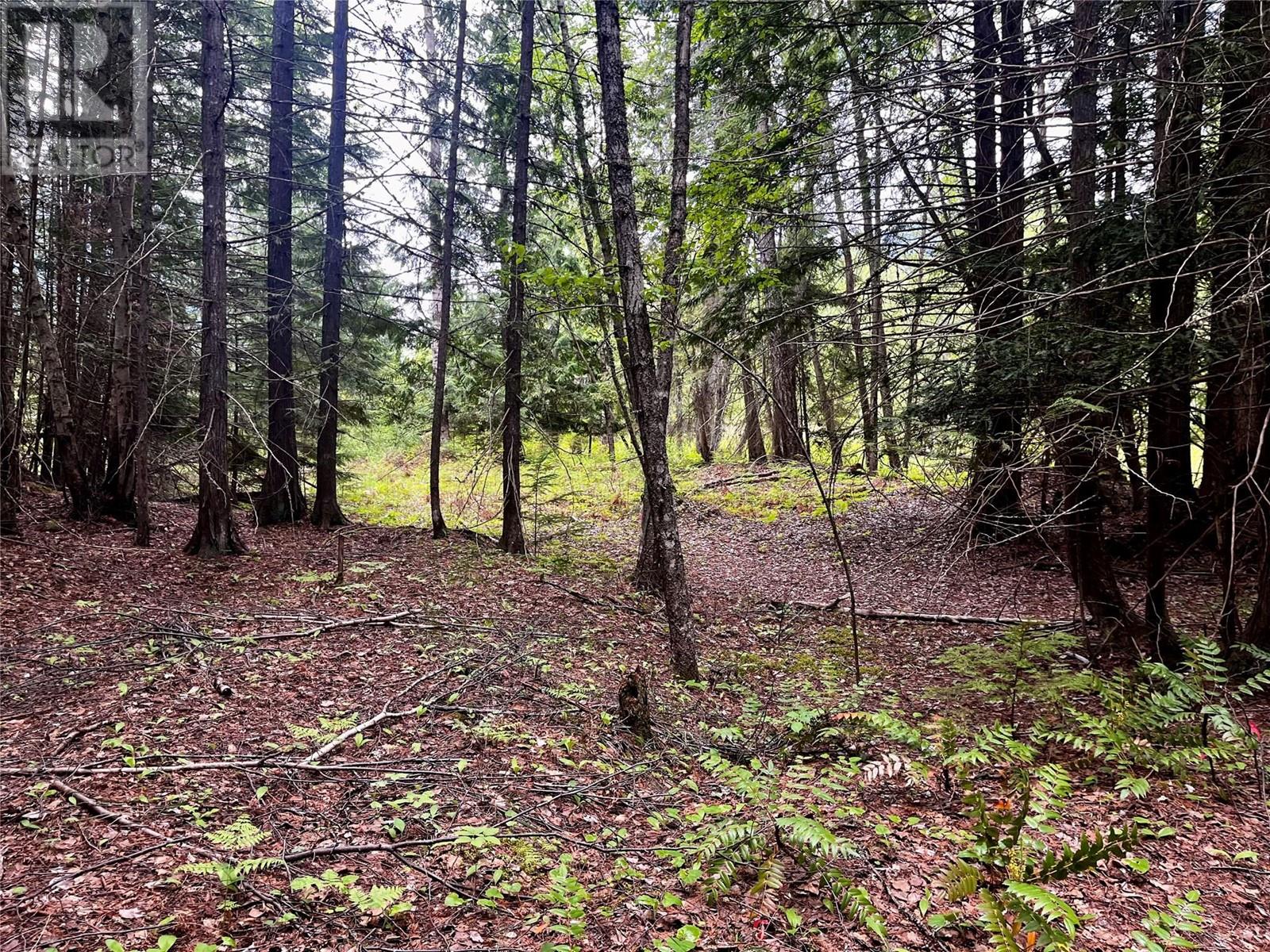 Lot 3 & 4 Robazzo Road, Burton, British Columbia  V0G 1R0 - Photo 25 - 10348050