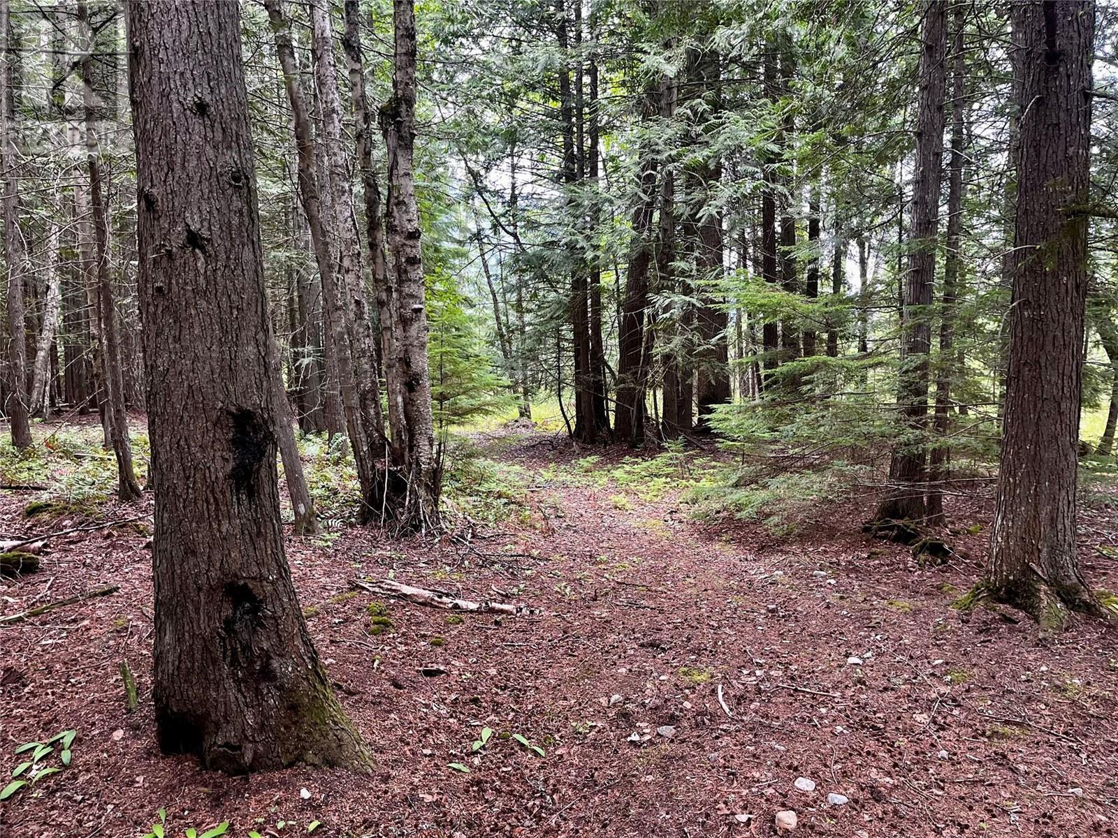 Lot 3 & 4 Robazzo Road, Burton, British Columbia  V0G 1R0 - Photo 26 - 10348050