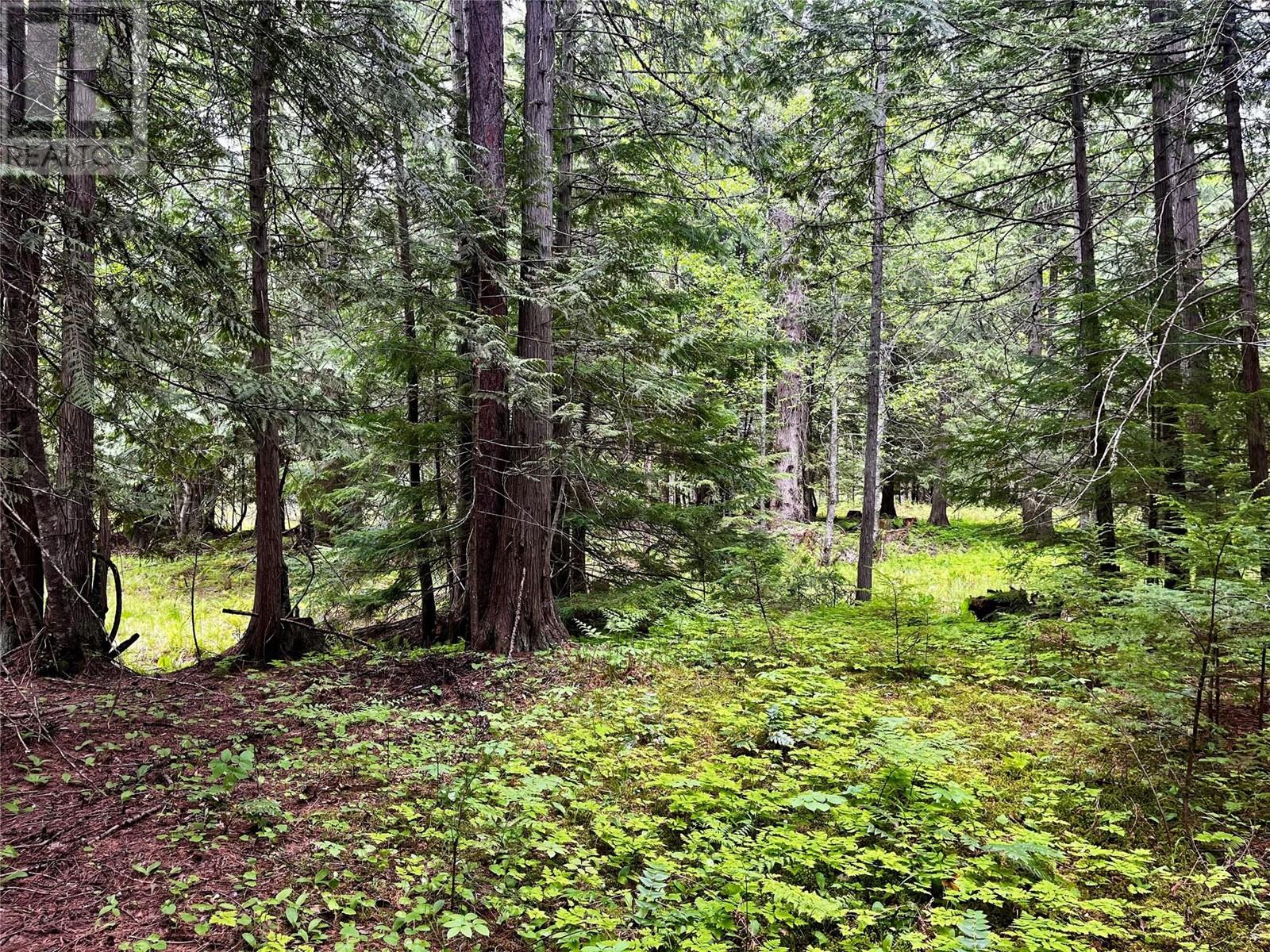 Lot 3 & 4 Robazzo Road, Burton, British Columbia  V0G 1R0 - Photo 27 - 10348050