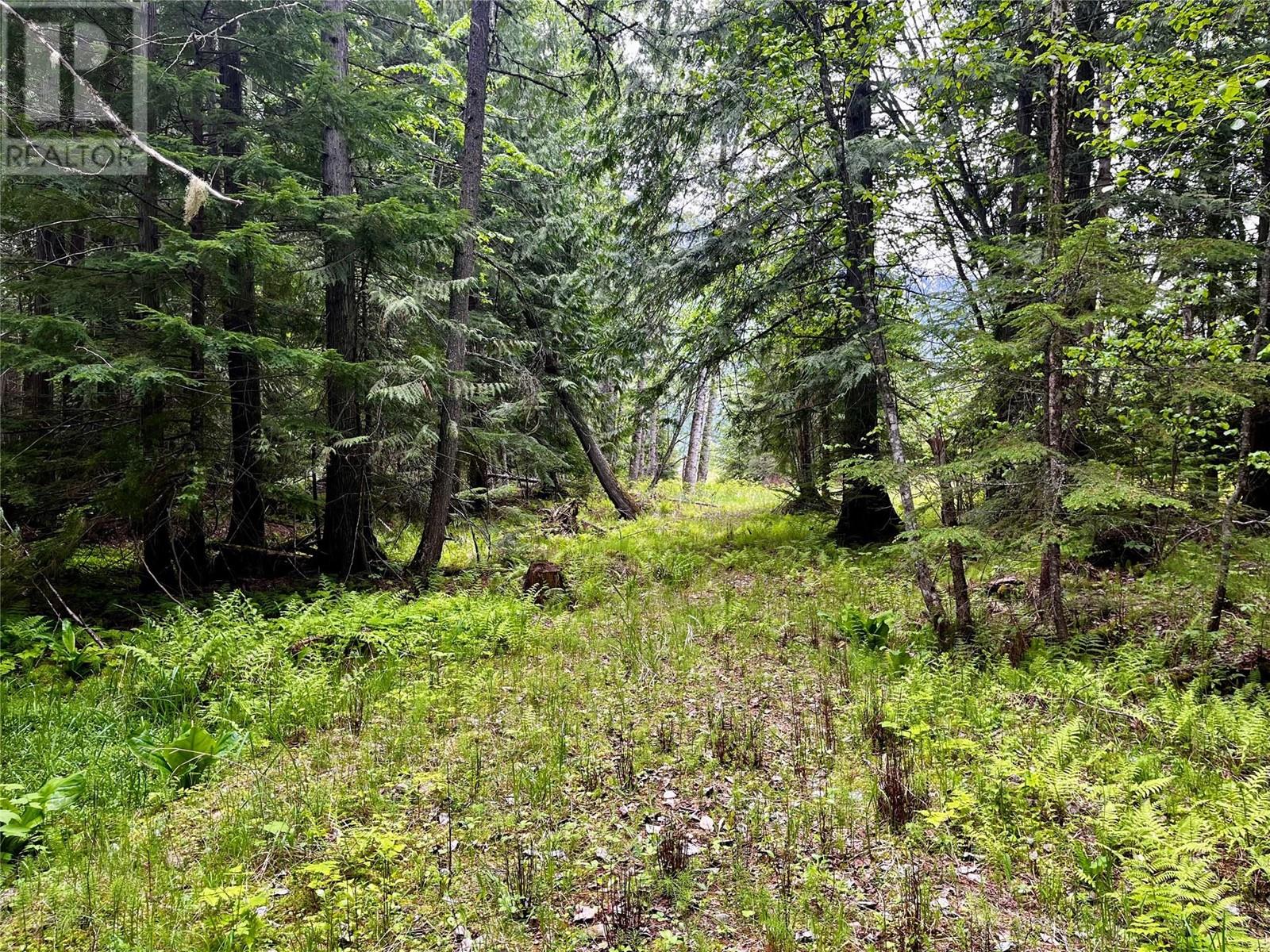 Lot 3 & 4 Robazzo Road, Burton, British Columbia  V0G 1R0 - Photo 28 - 10348050
