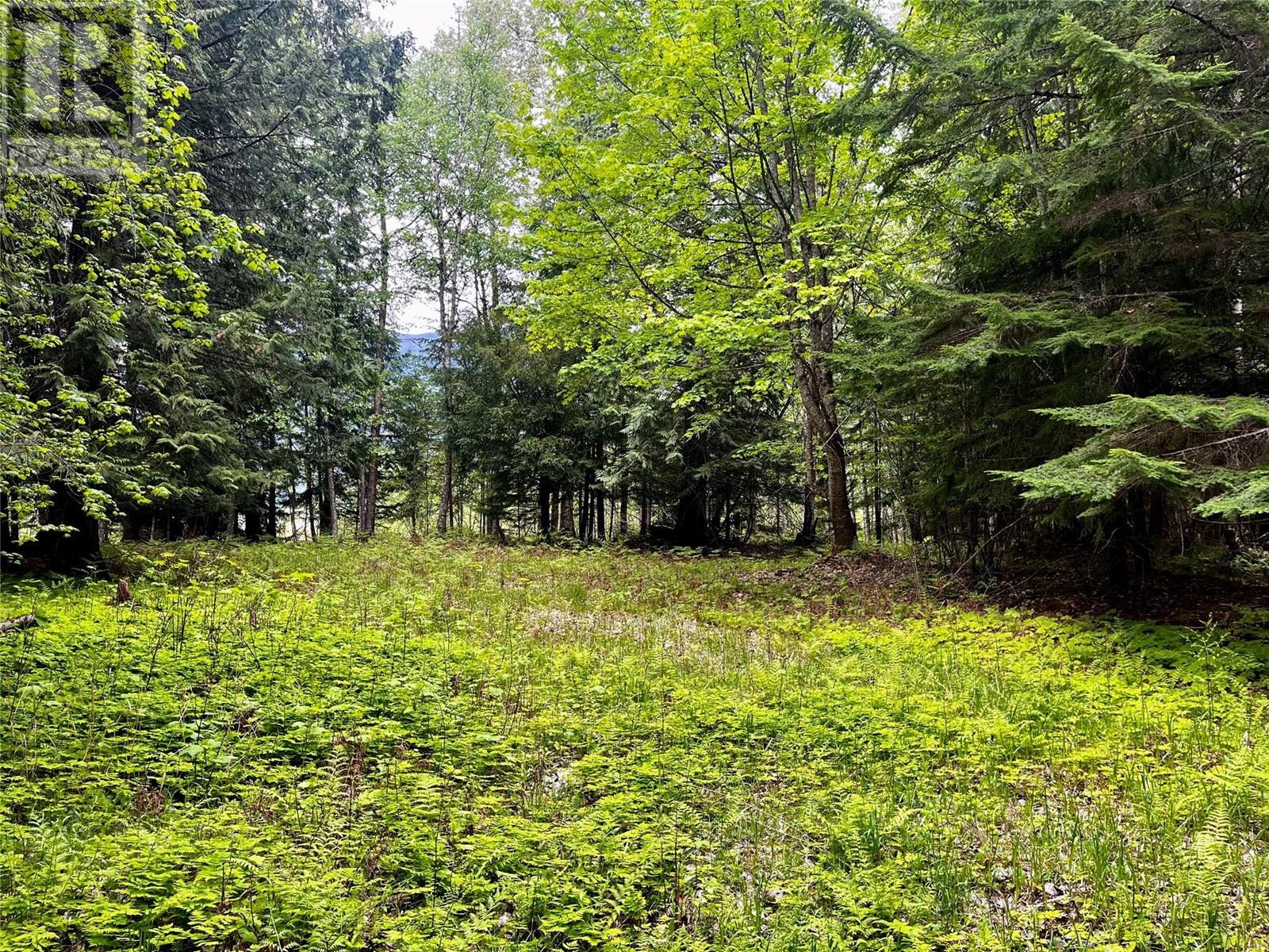 Lot 3 & 4 Robazzo Road, Burton, British Columbia  V0G 1R0 - Photo 29 - 10348050