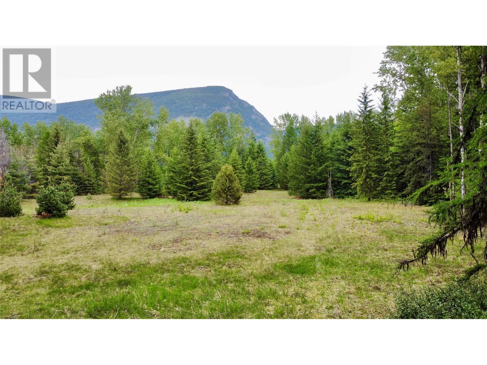 Lot 3 & 4 Robazzo Road, Burton, British Columbia  V0G 1R0 - Photo 3 - 10348050