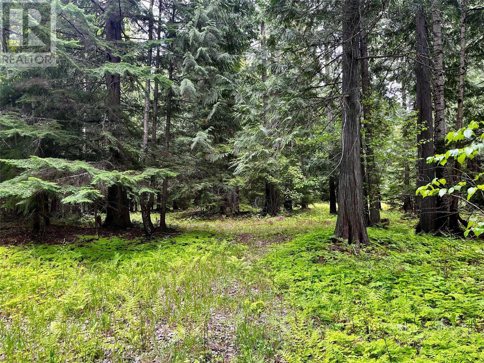 Lot 3 & 4 Robazzo Road, Burton, British Columbia  V0G 1R0 - Photo 30 - 10348050
