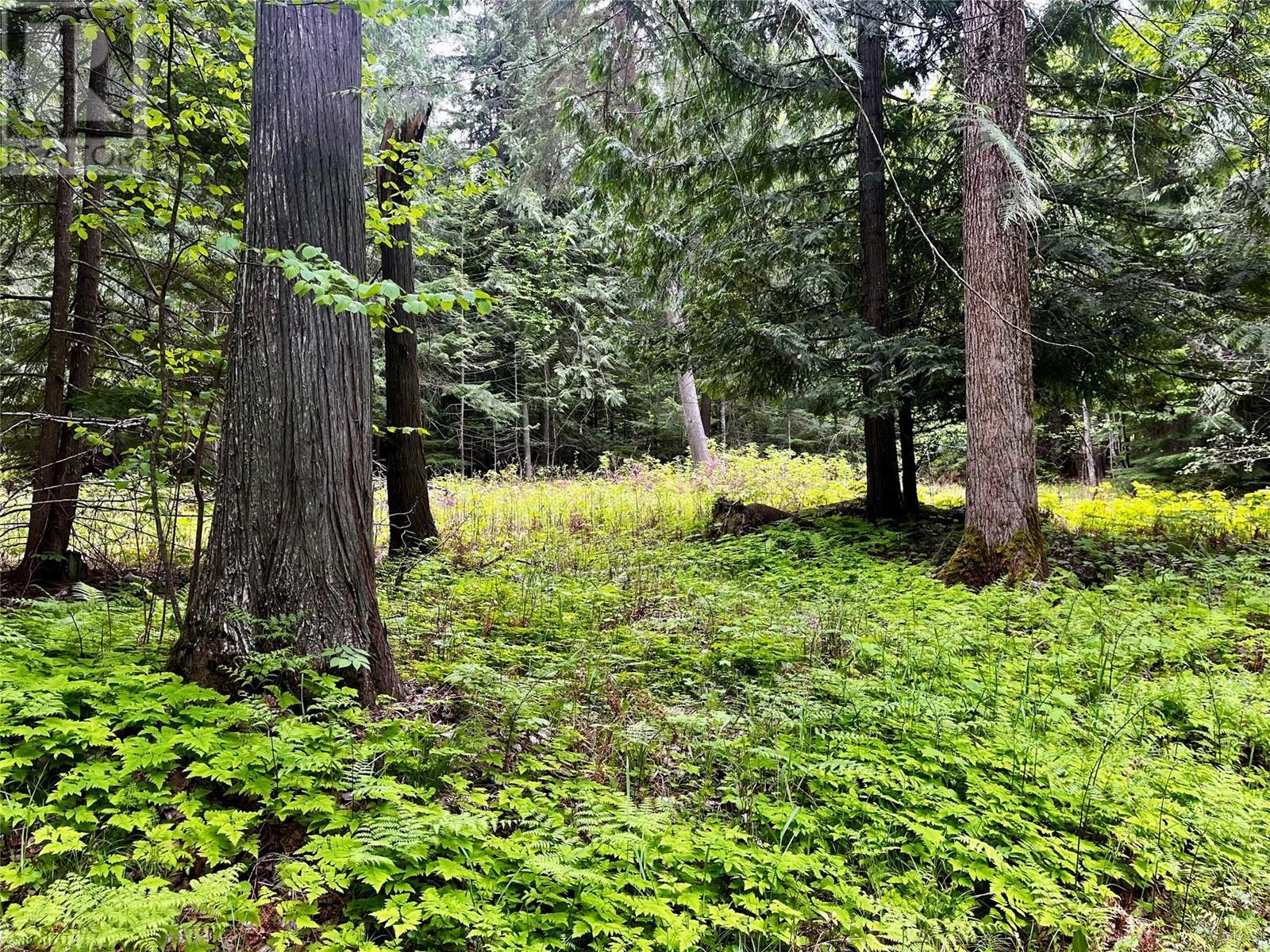 Lot 3 & 4 Robazzo Road, Burton, British Columbia  V0G 1R0 - Photo 31 - 10348050