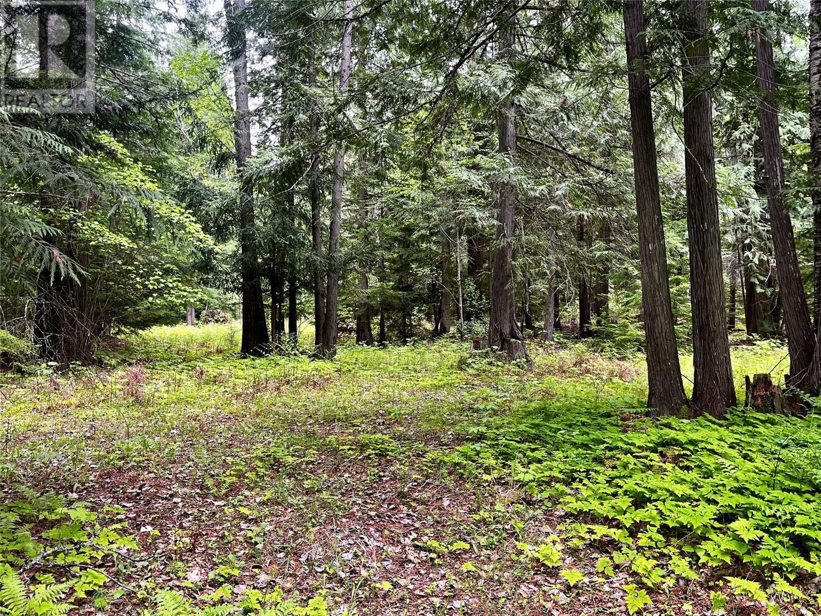 Lot 3 & 4 Robazzo Road, Burton, British Columbia  V0G 1R0 - Photo 32 - 10348050