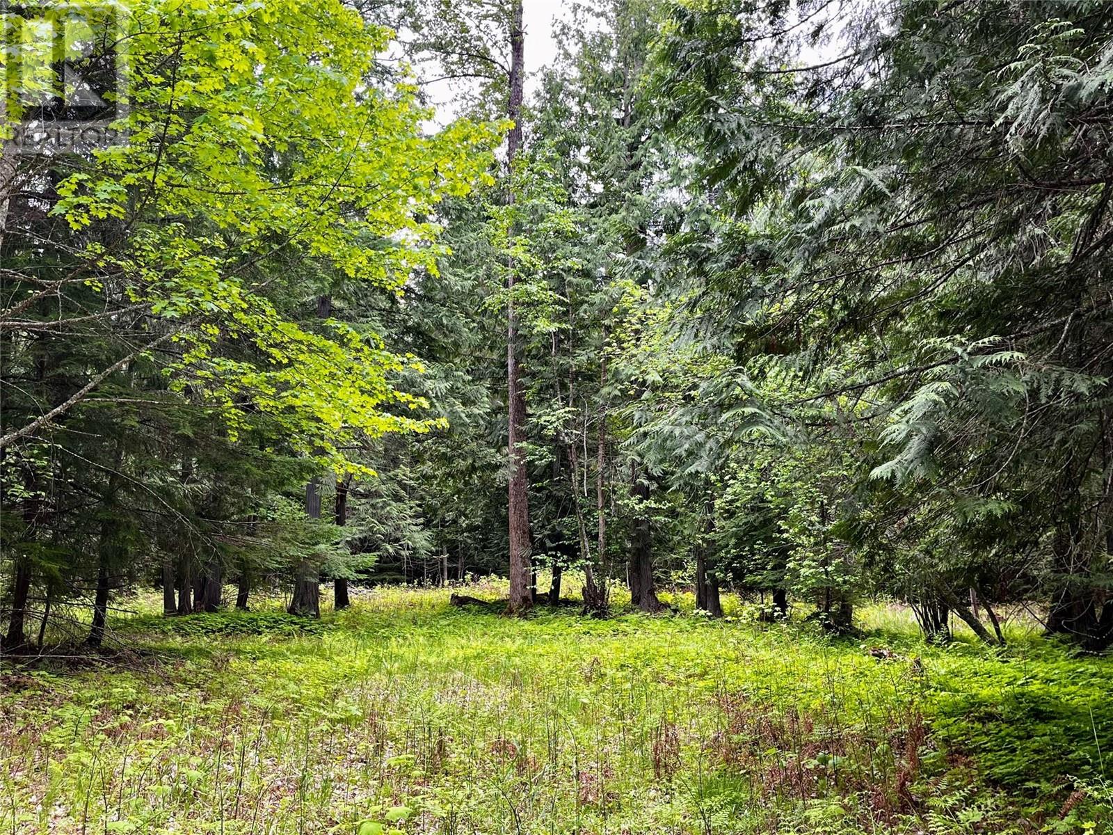 Lot 3 & 4 Robazzo Road, Burton, British Columbia  V0G 1R0 - Photo 34 - 10348050