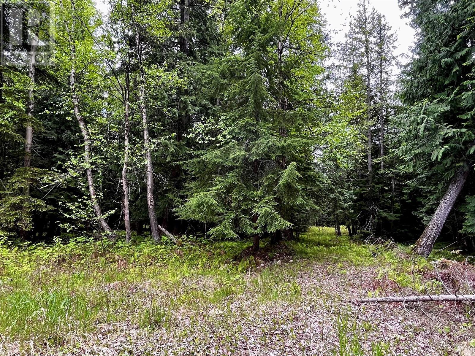 Lot 3 & 4 Robazzo Road, Burton, British Columbia  V0G 1R0 - Photo 35 - 10348050