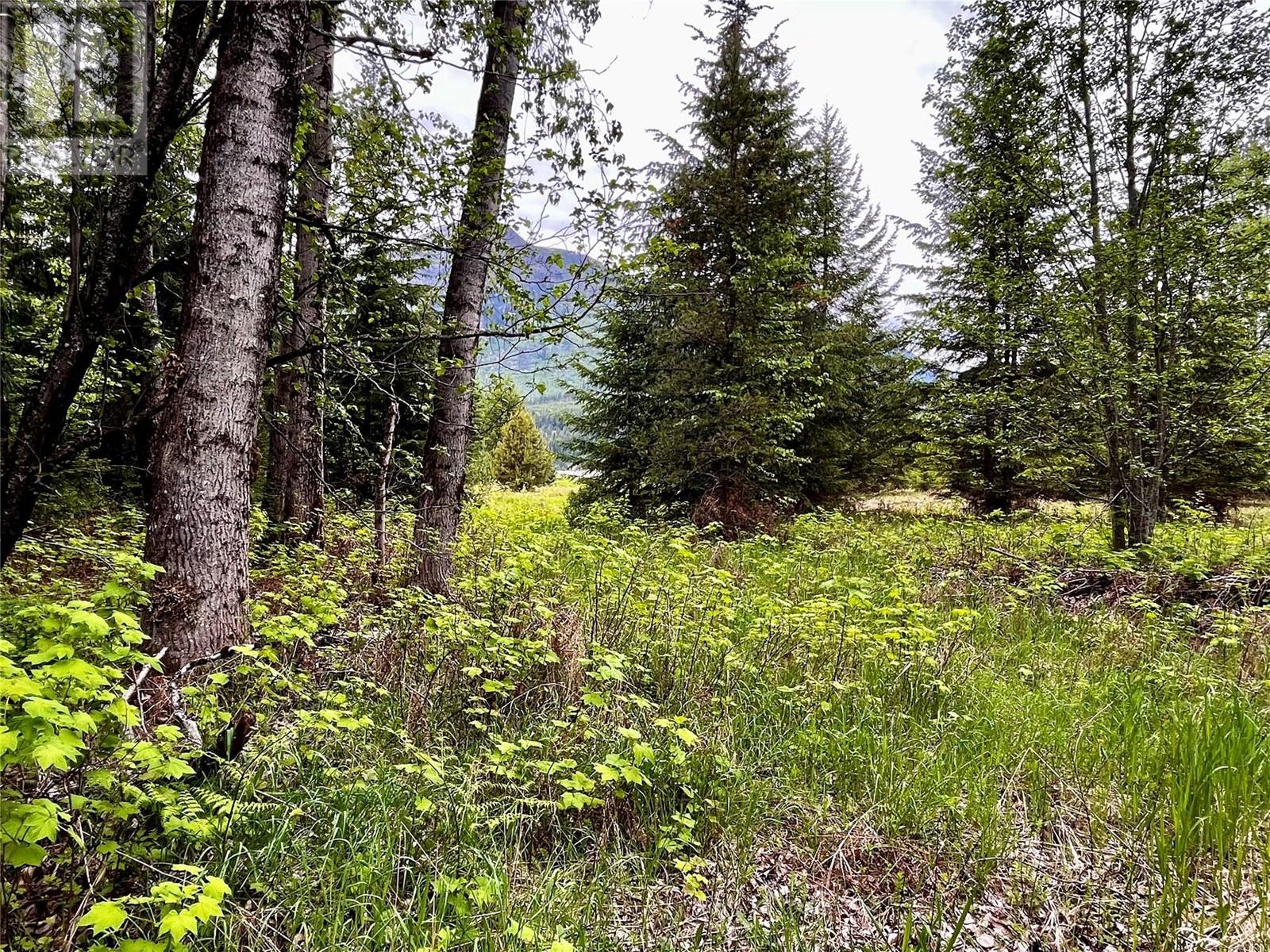 Lot 3 & 4 Robazzo Road, Burton, British Columbia  V0G 1R0 - Photo 36 - 10348050