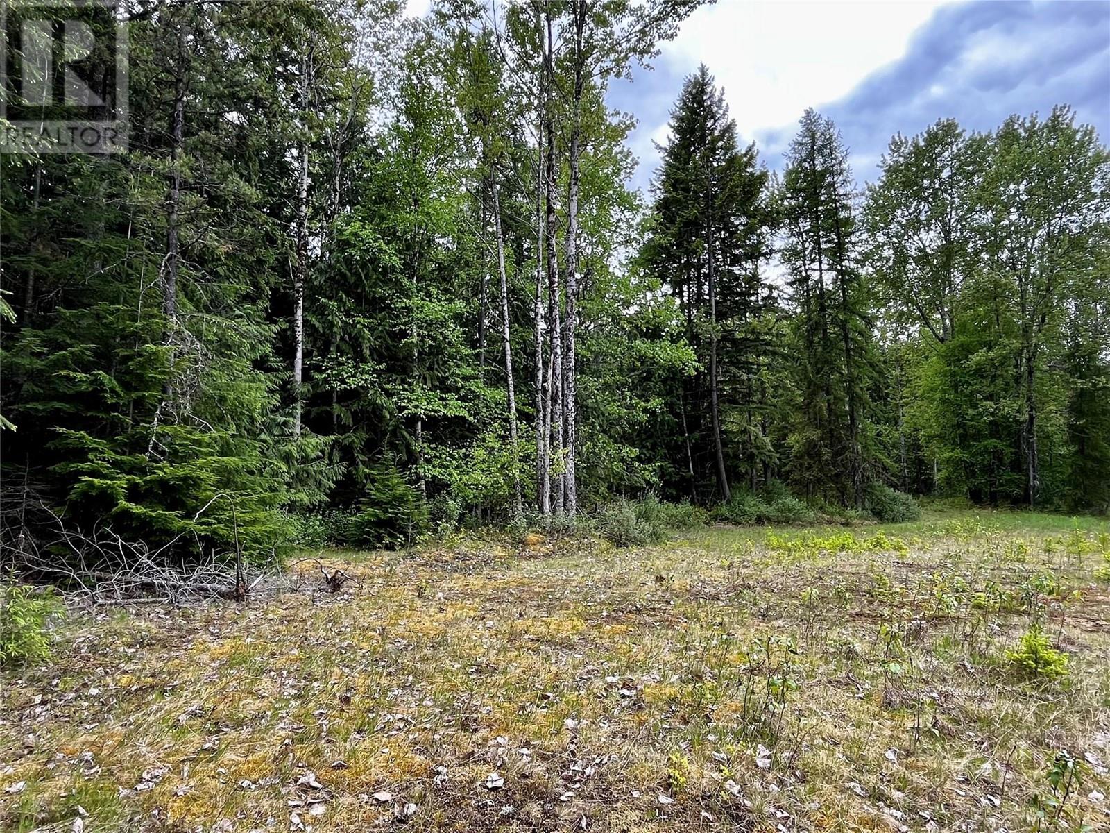 Lot 3 & 4 Robazzo Road, Burton, British Columbia  V0G 1R0 - Photo 38 - 10348050