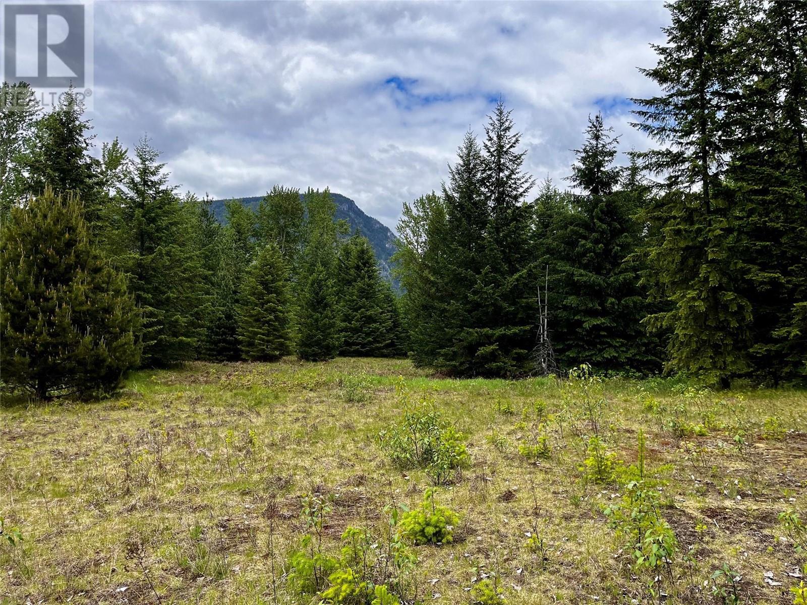 Lot 3 & 4 Robazzo Road, Burton, British Columbia  V0G 1R0 - Photo 39 - 10348050