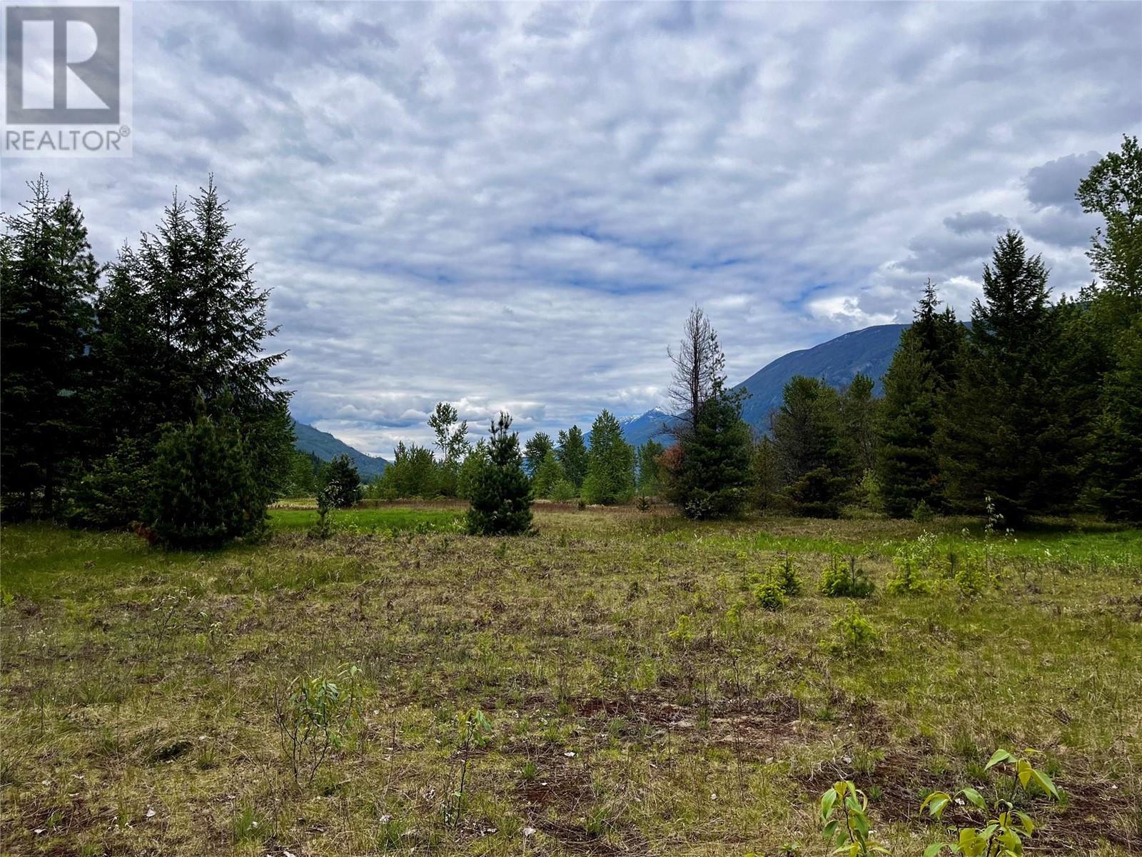Lot 3 & 4 Robazzo Road, Burton, British Columbia  V0G 1R0 - Photo 40 - 10348050
