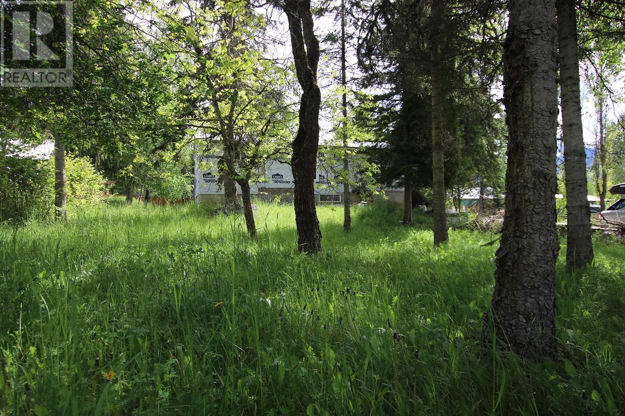553 Highway 6, Nakusp, British Columbia  V0G 1R1 - Photo 2 - 10349703