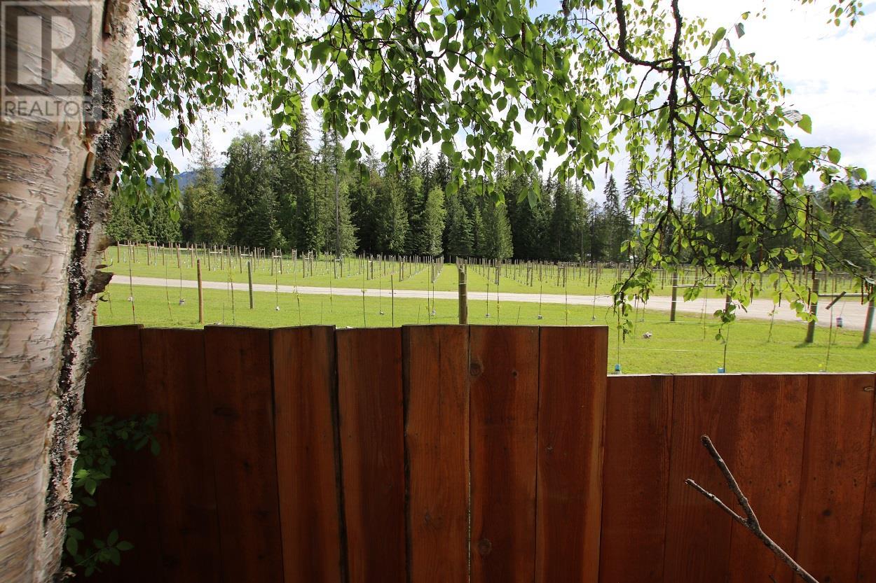 553 Highway 6, Nakusp, British Columbia  V0G 1R1 - Photo 5 - 10349703