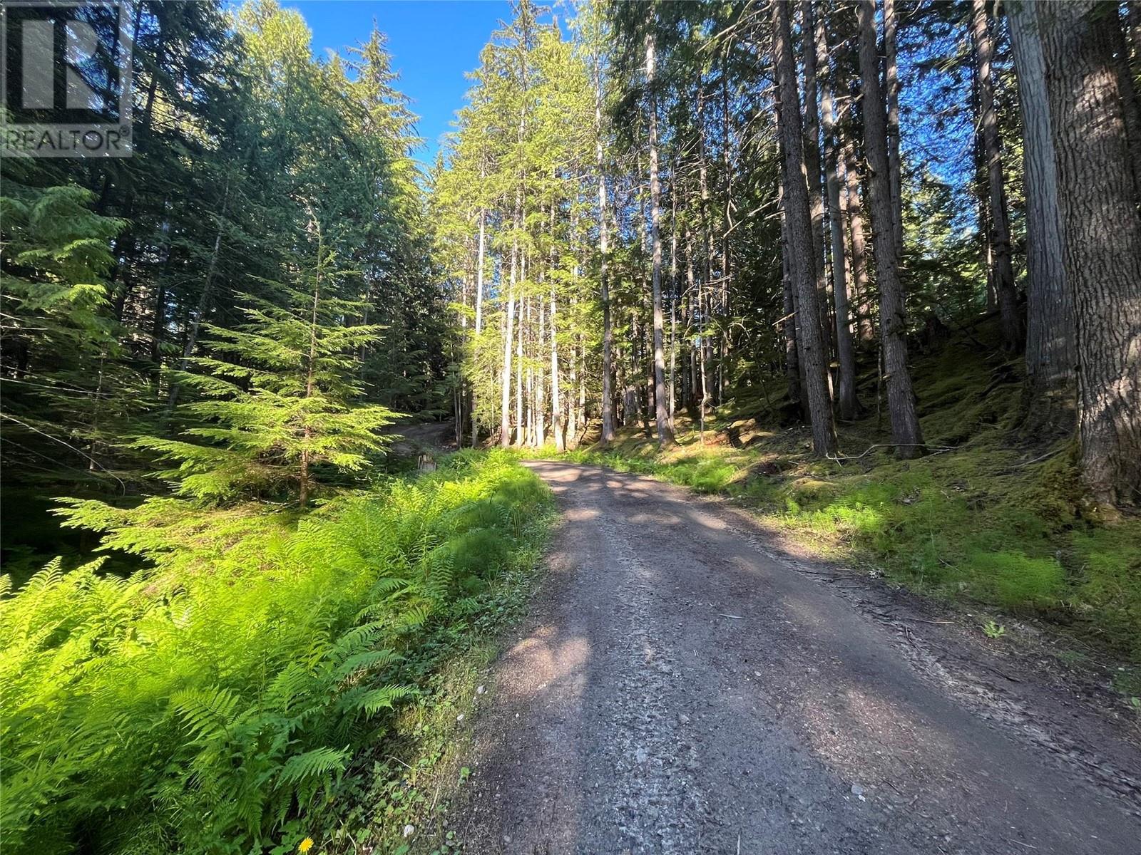 769 Beech Road, Nakusp, British Columbia  V0G 1R1 - Photo 12 - 10349896