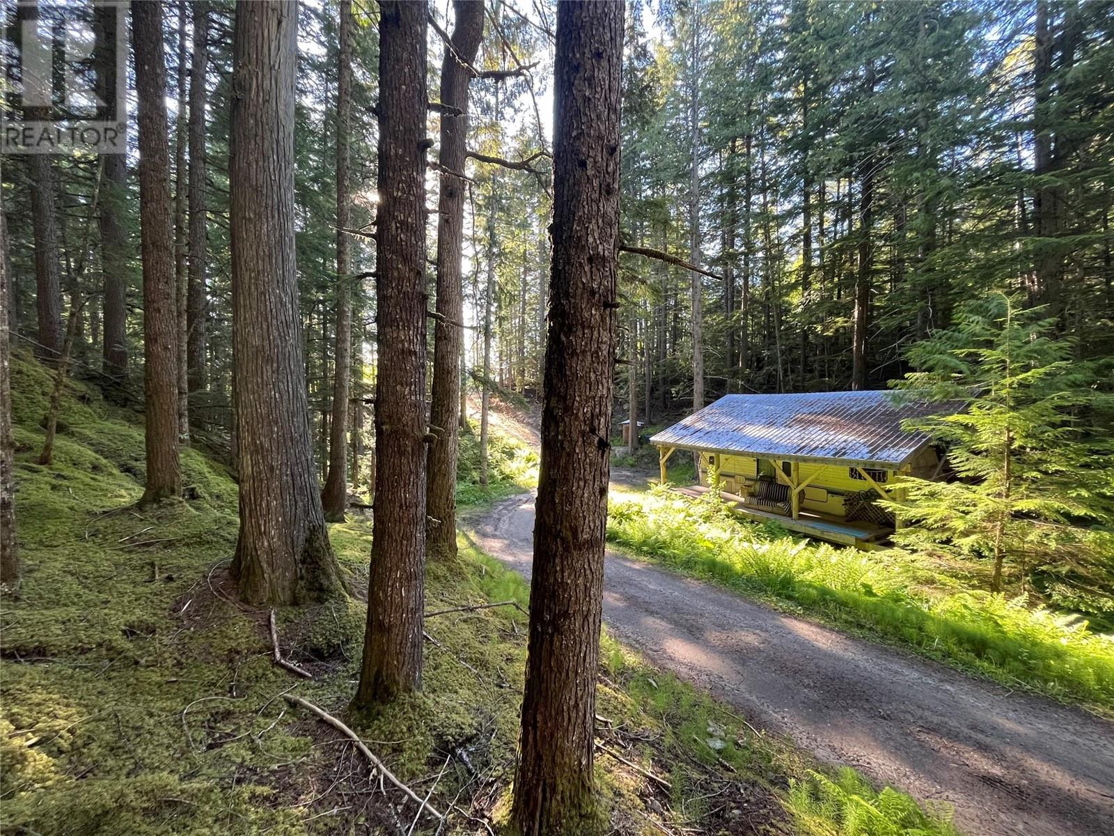 769 Beech Road, Nakusp, British Columbia  V0G 1R1 - Photo 2 - 10349896