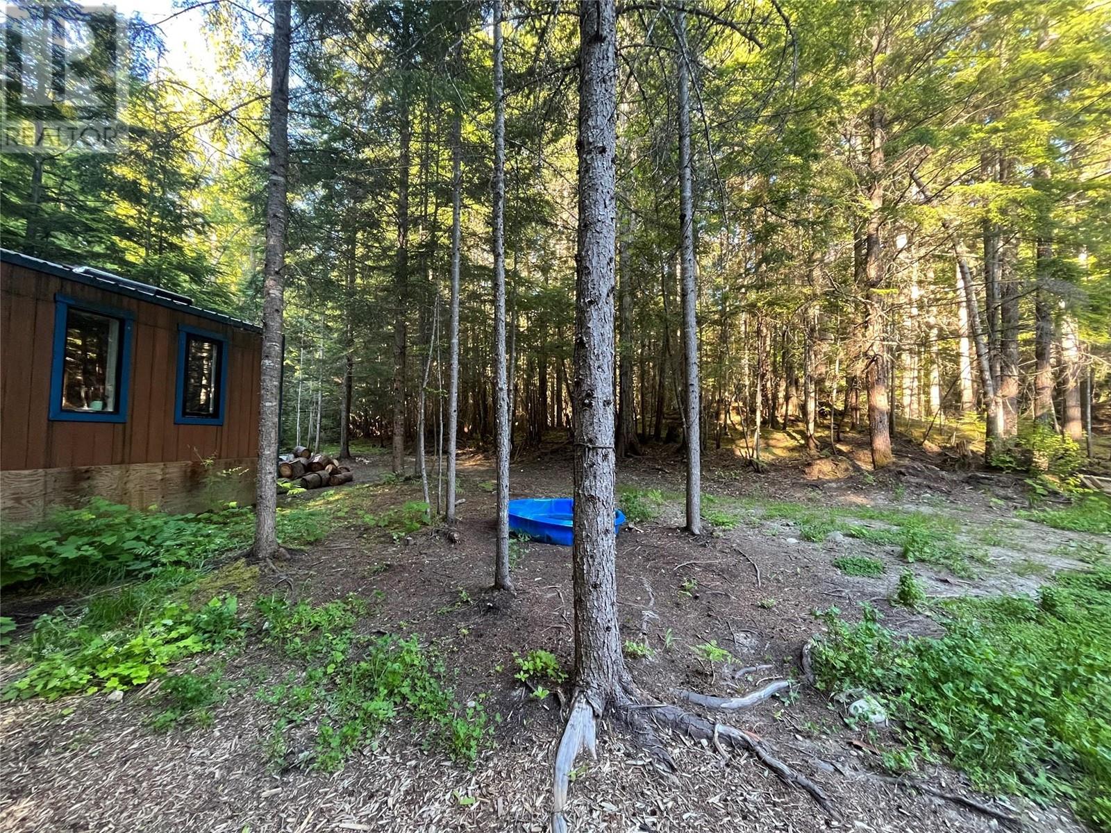 769 Beech Road, Nakusp, British Columbia  V0G 1R1 - Photo 20 - 10349896