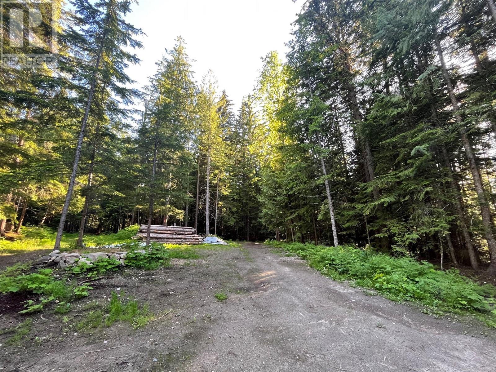 769 Beech Road, Nakusp, British Columbia  V0G 1R1 - Photo 25 - 10349896
