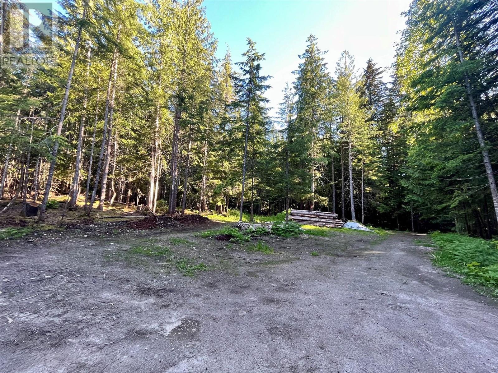 769 Beech Road, Nakusp, British Columbia  V0G 1R1 - Photo 26 - 10349896