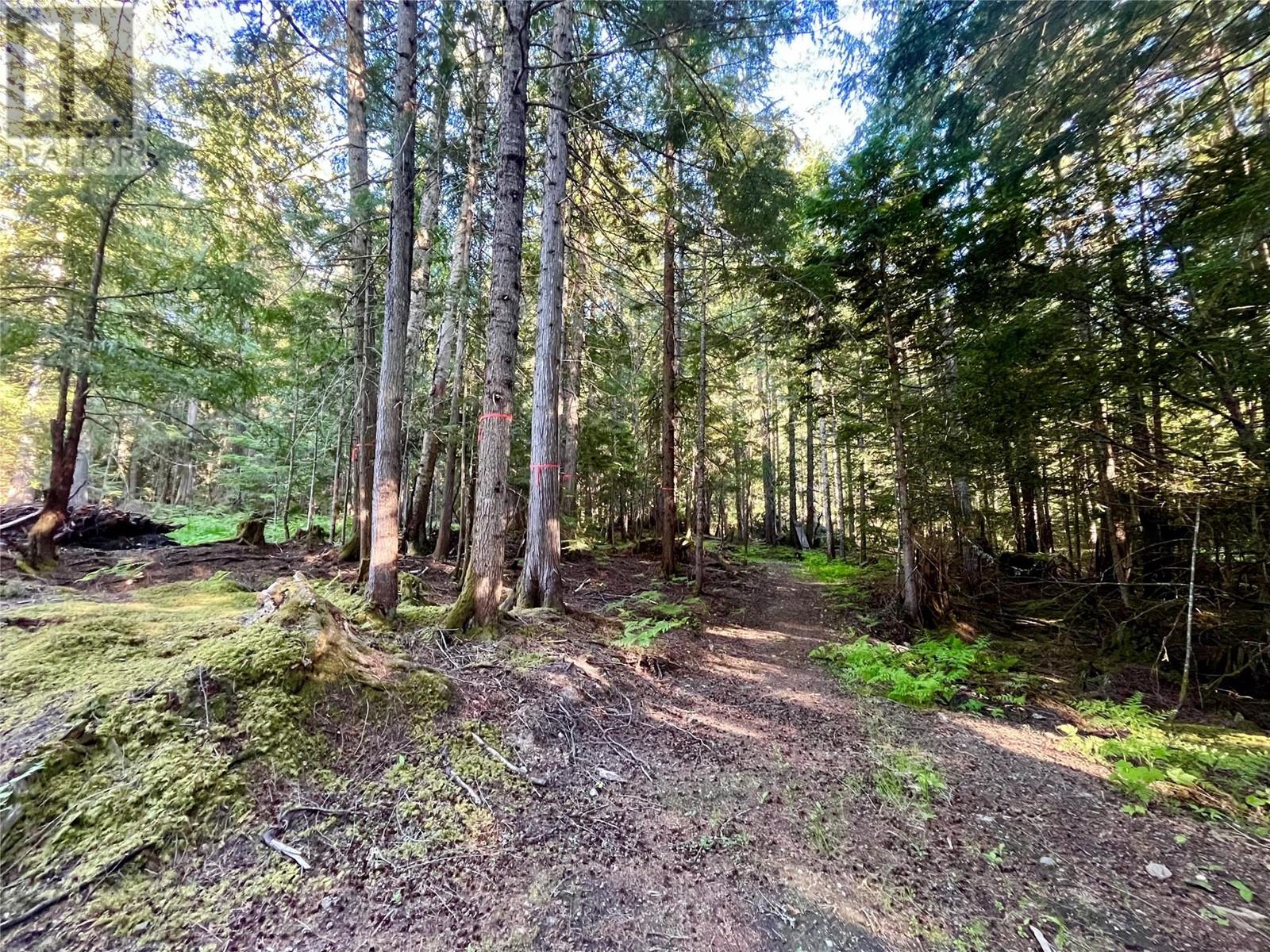 769 Beech Road, Nakusp, British Columbia  V0G 1R1 - Photo 27 - 10349896