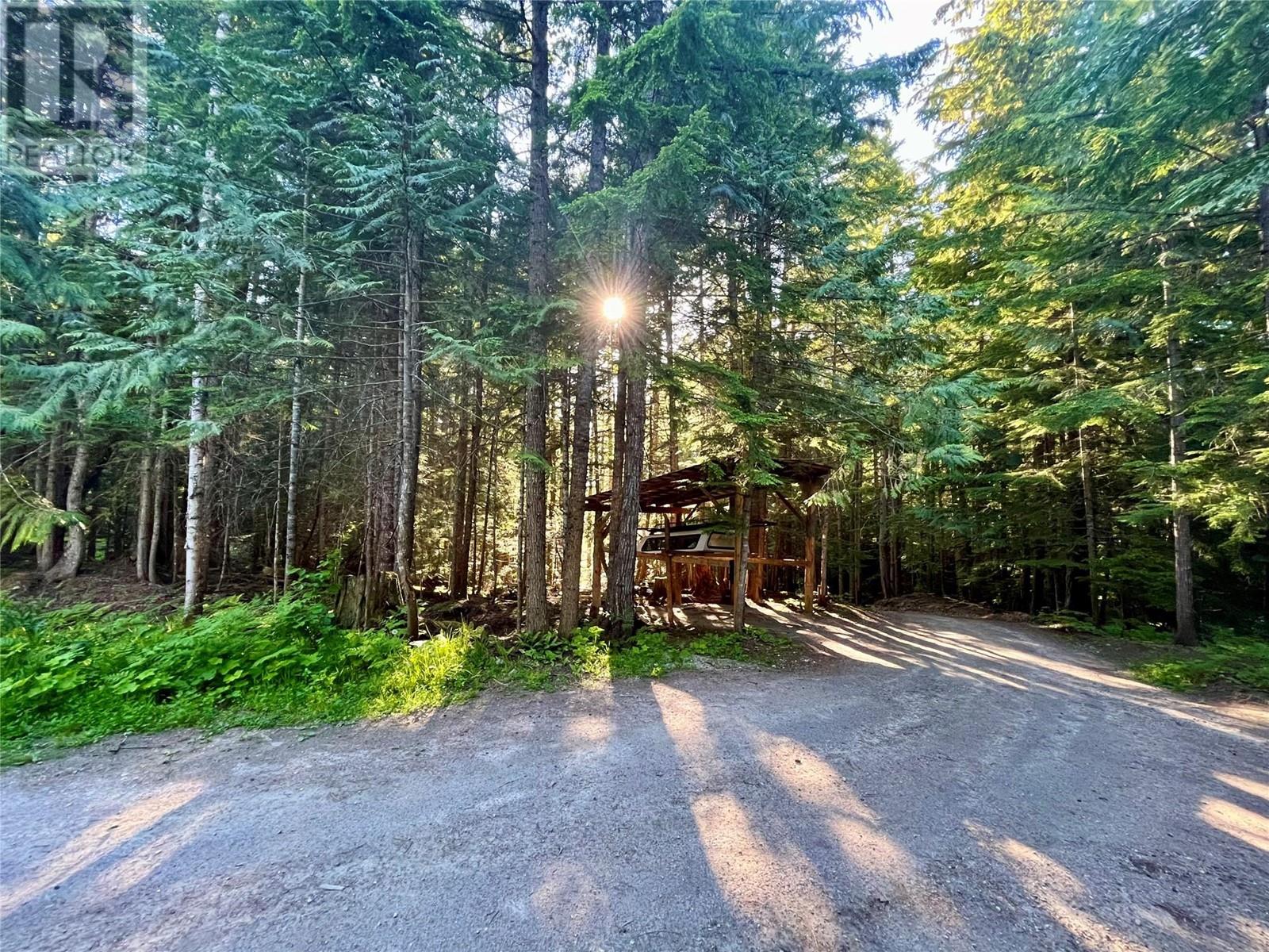769 Beech Road, Nakusp, British Columbia  V0G 1R1 - Photo 3 - 10349896