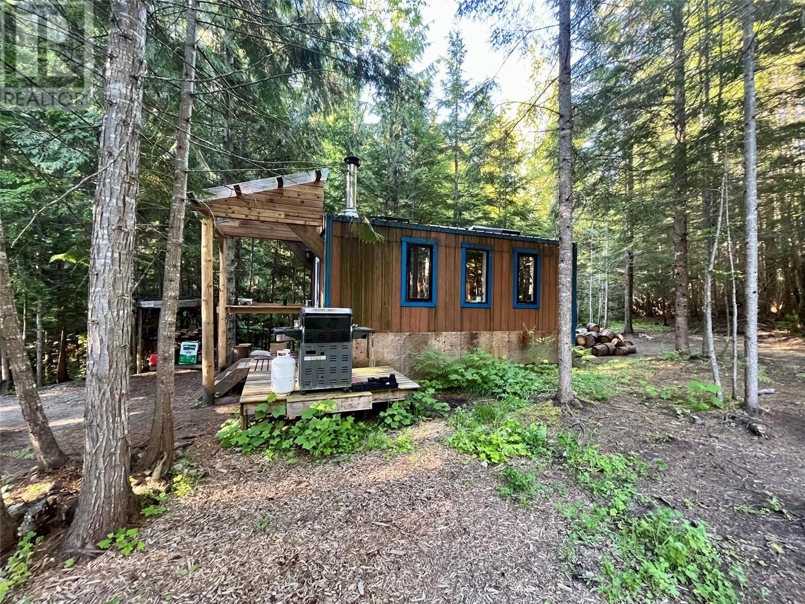 769 Beech Road, Nakusp, British Columbia  V0G 1R1 - Photo 4 - 10349896