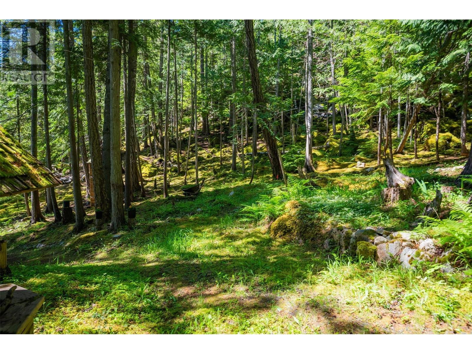 9557 Slocan Lake, Slocan, British Columbia  V0G 2C0 - Photo 41 - 10348772