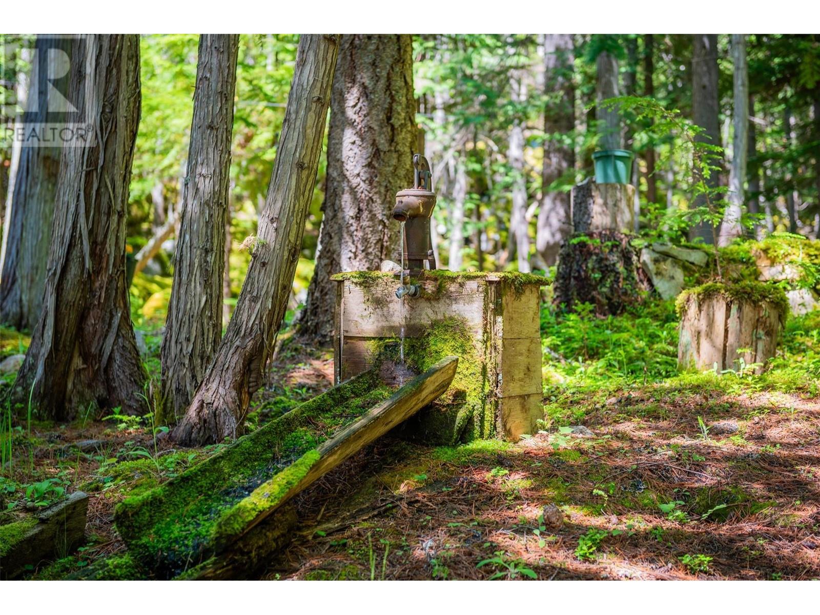 9557 Slocan Lake, Slocan, British Columbia  V0G 2C0 - Photo 55 - 10348772