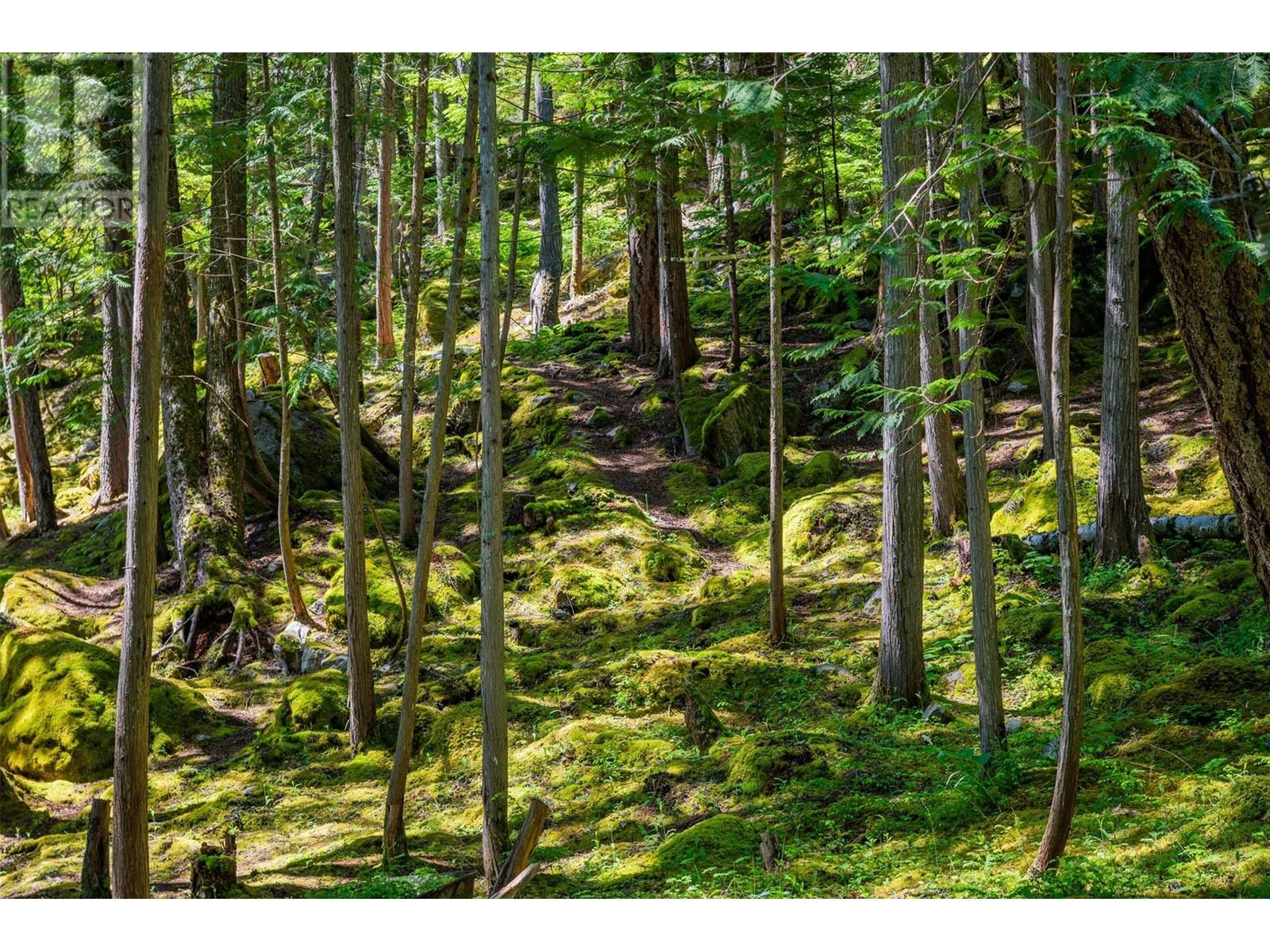 9557 Slocan Lake, Slocan, British Columbia  V0G 2C0 - Photo 56 - 10348772