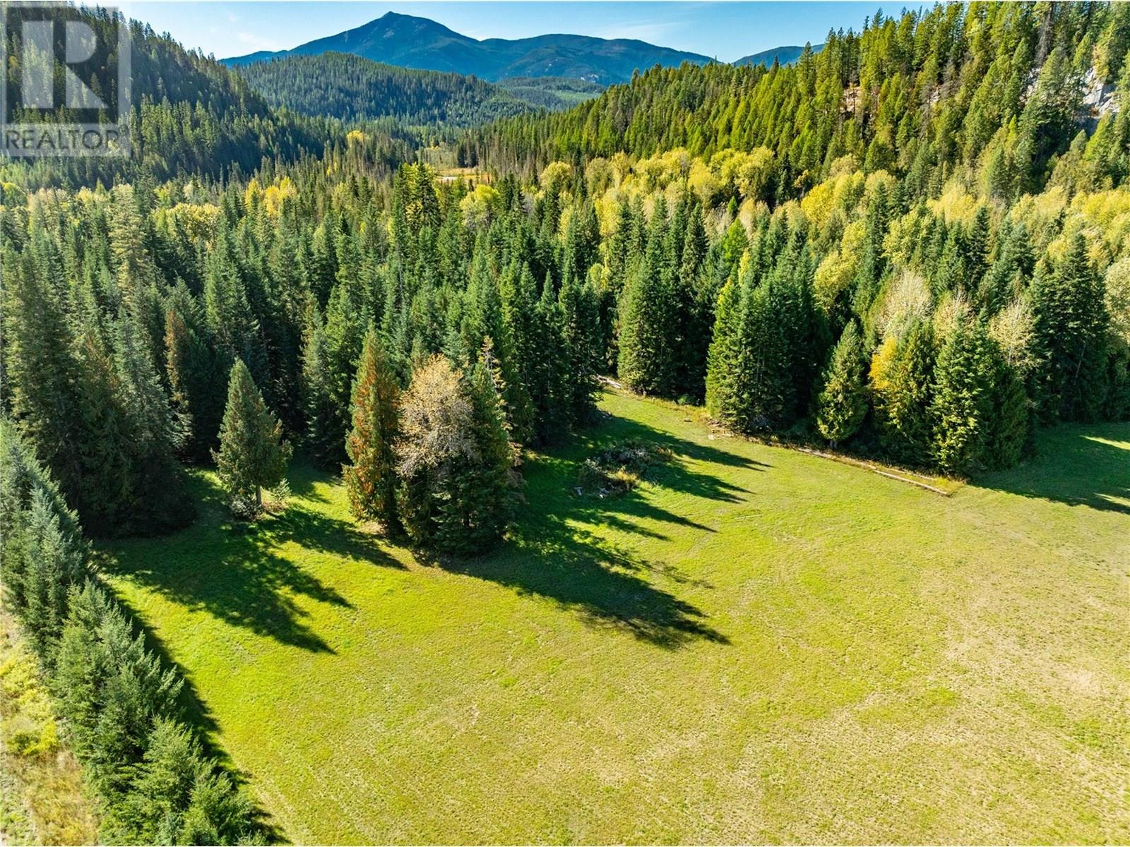 9848 6 Highway, Salmo, British Columbia  V0G 1Z0 - Photo 3 - 10347810